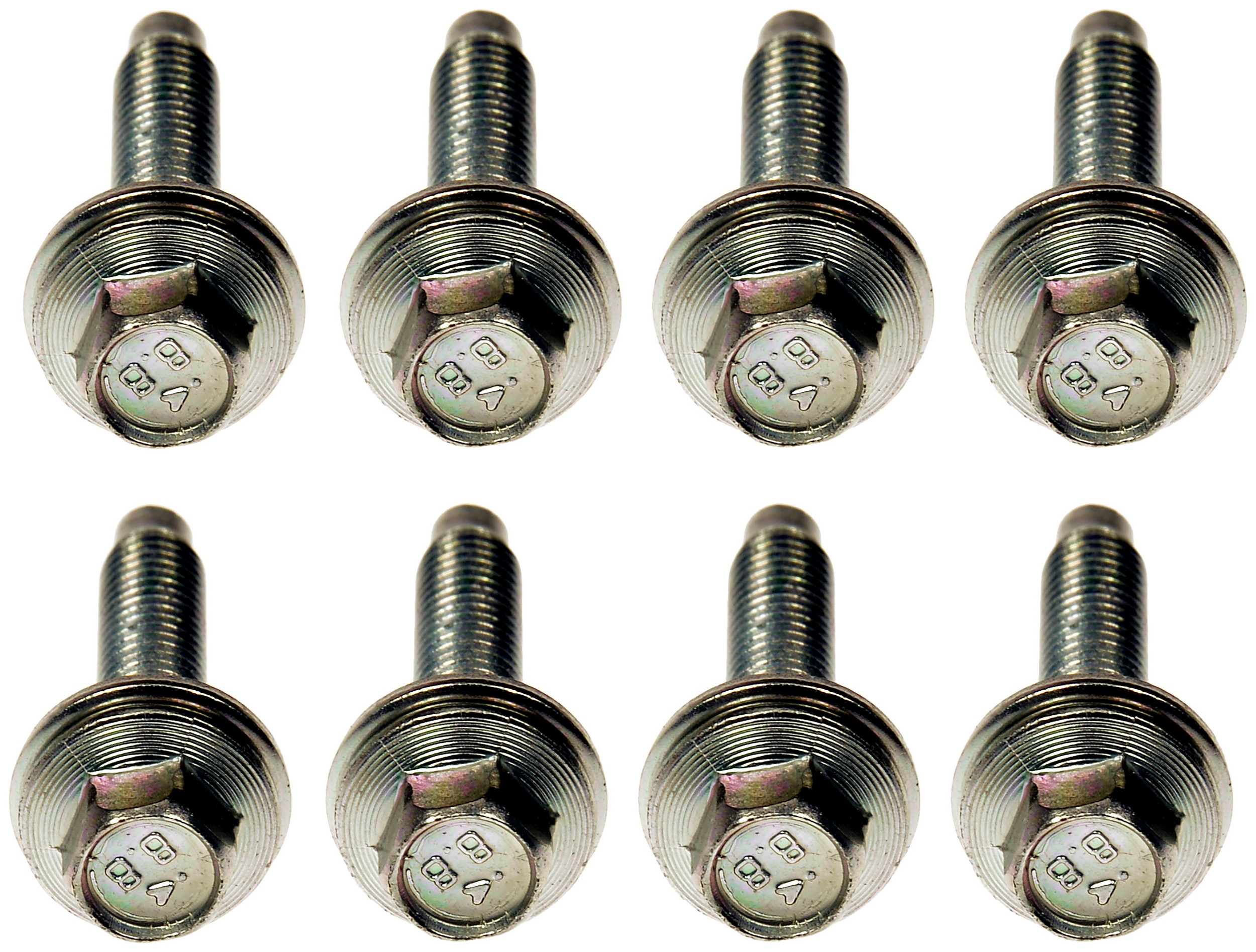 Engine Water Pump Bolts