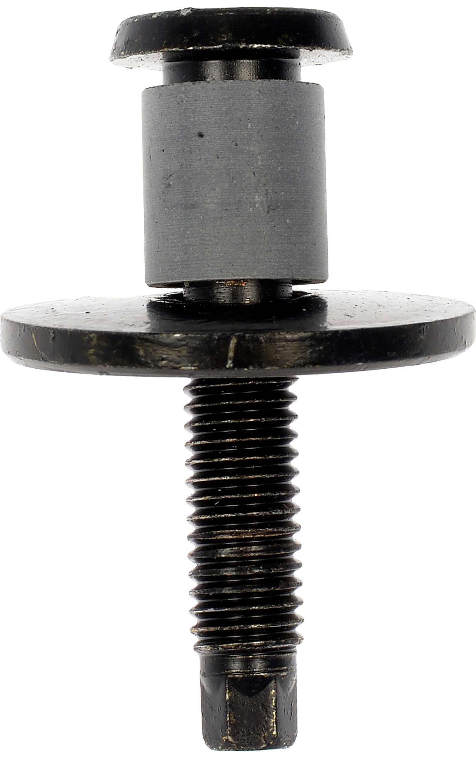 Tailgate Striker Bolt