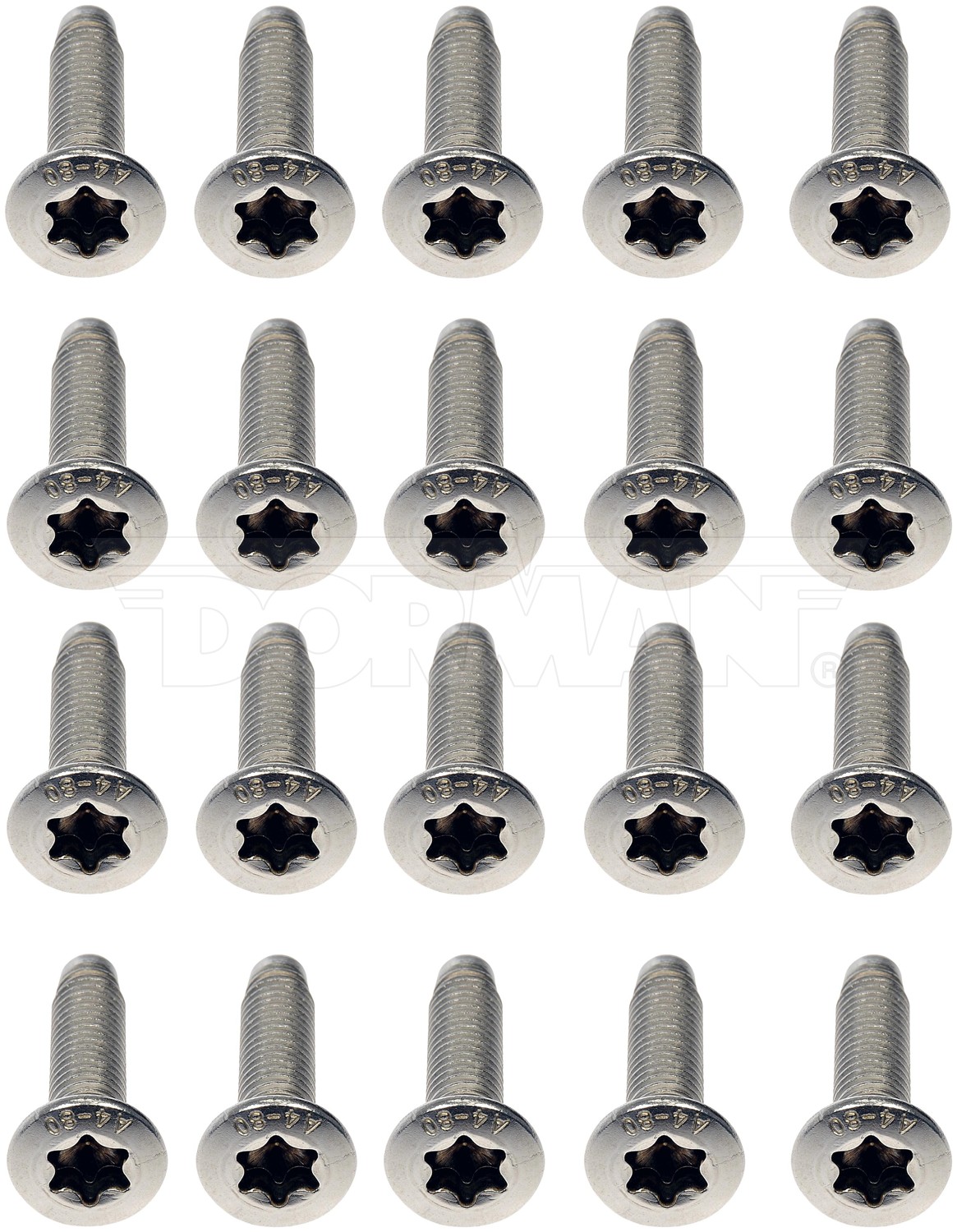 Stainless Steel Door Hinge Screws