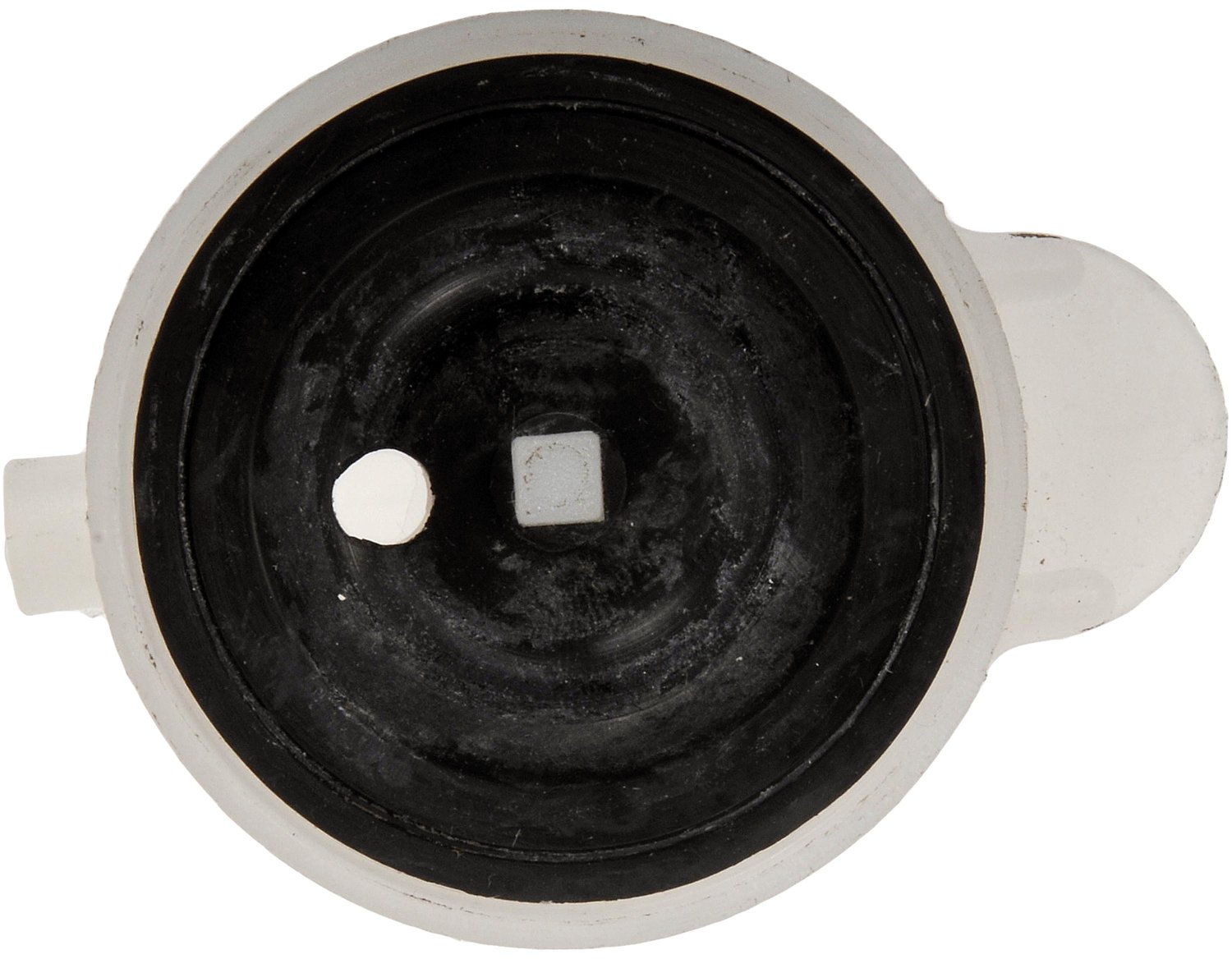 Engine Coolant Cap
