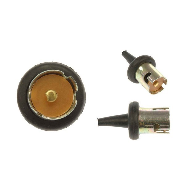 1-Wire Ford Taillight Socket Lighting