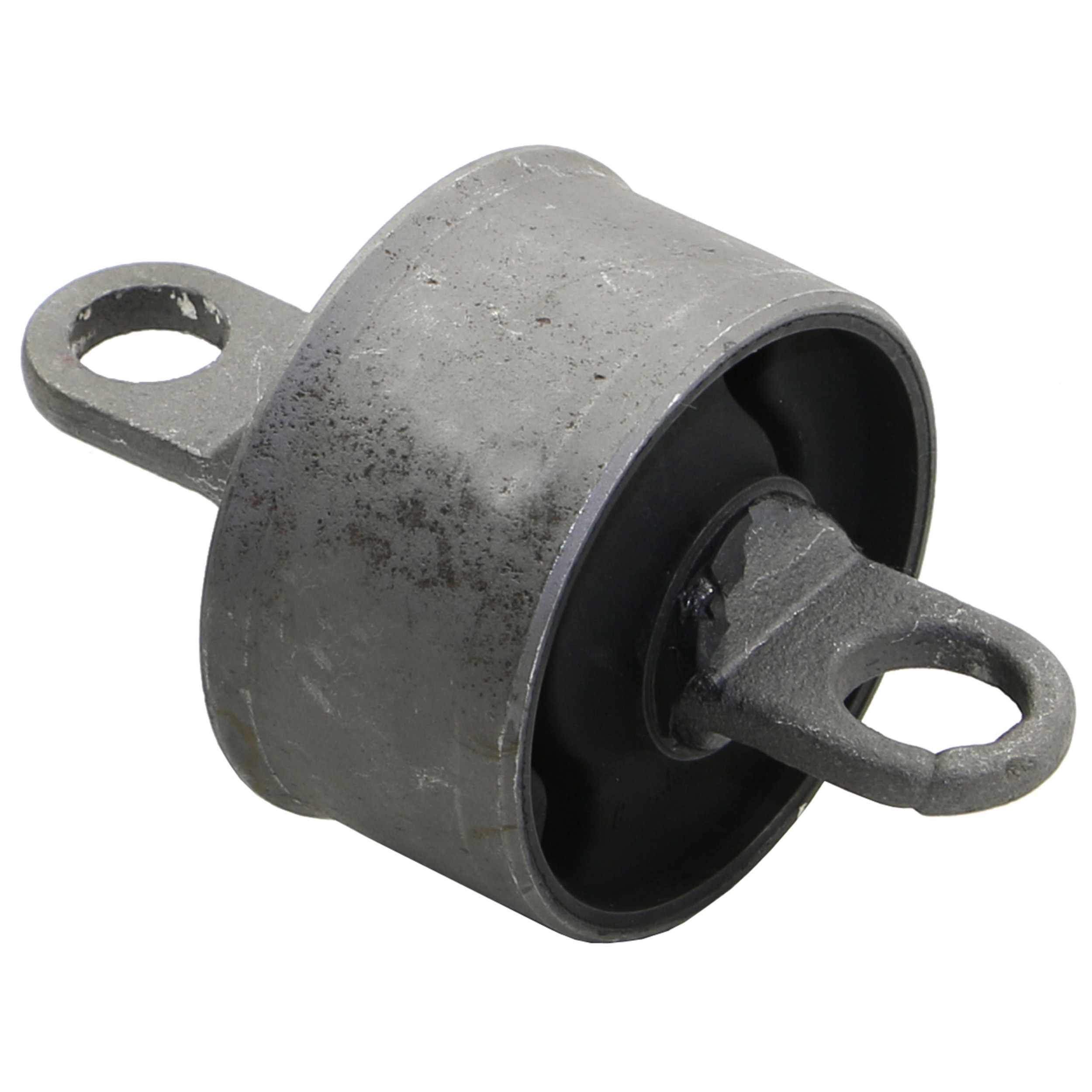 Suspension Trailing Arm Bushing