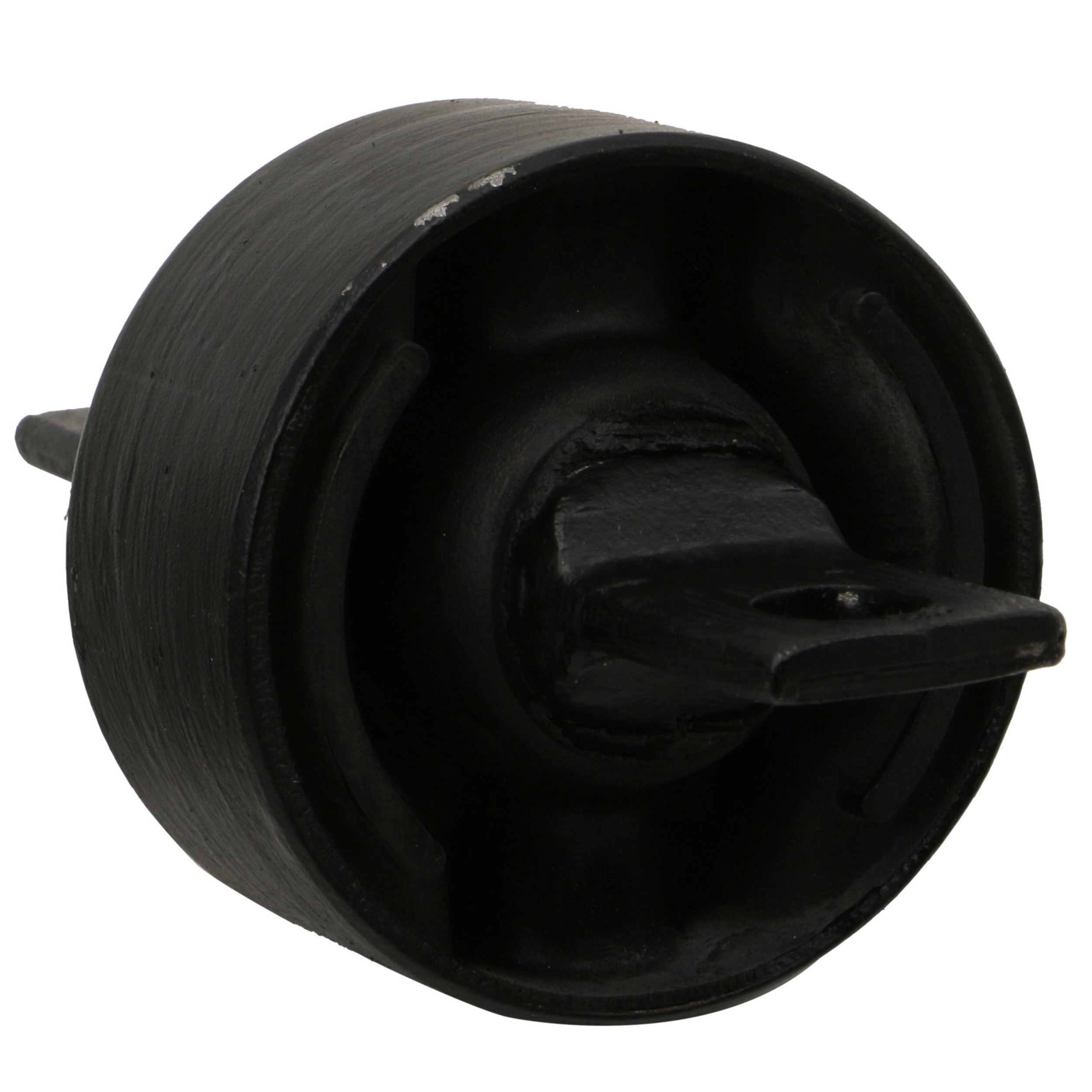 Suspension Trailing Arm Bushing
