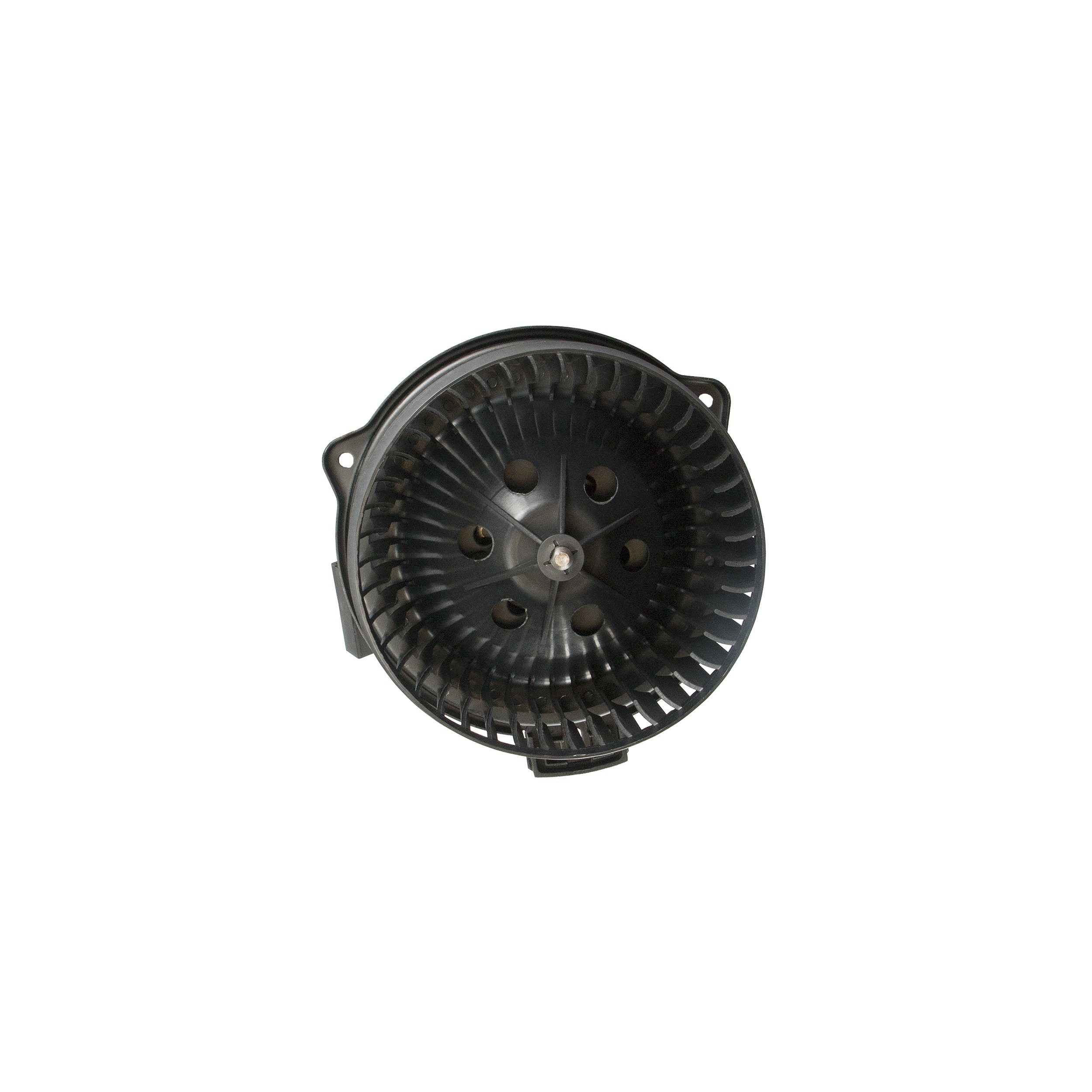 Blower Motor Assembly