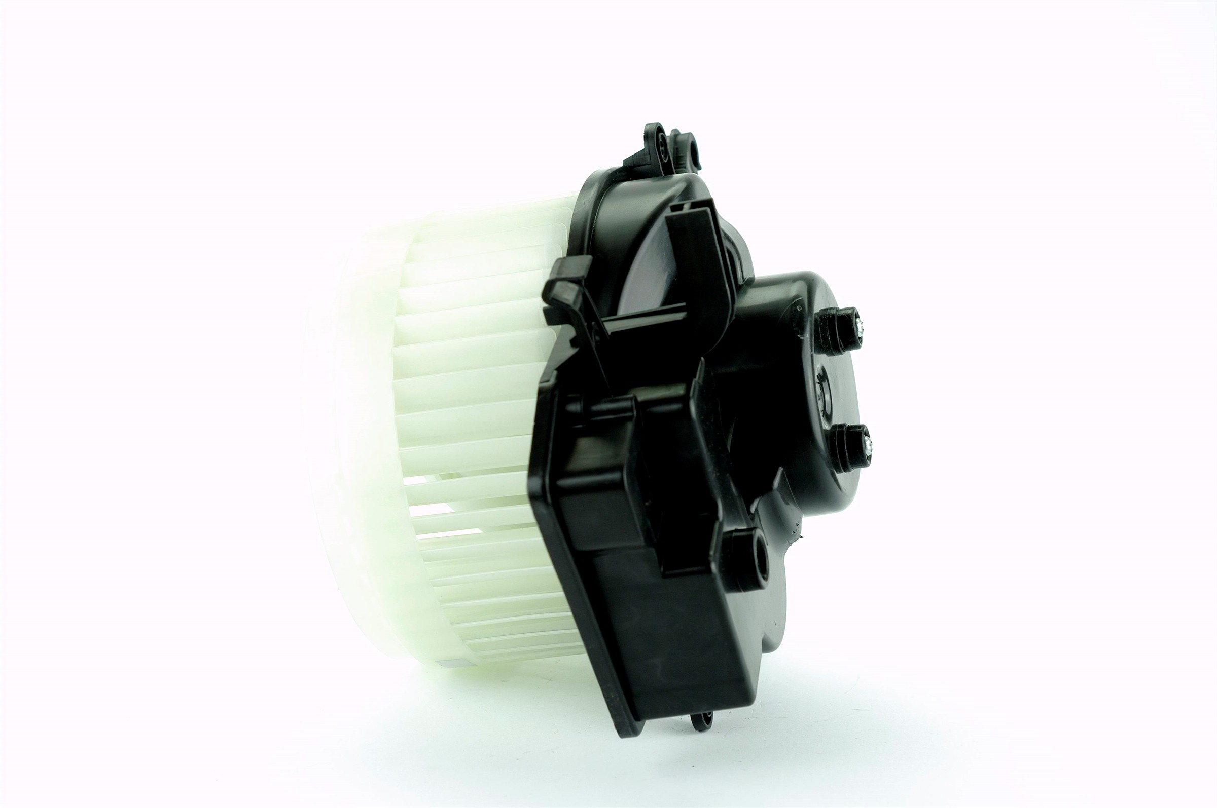 Blower Motor Assembly