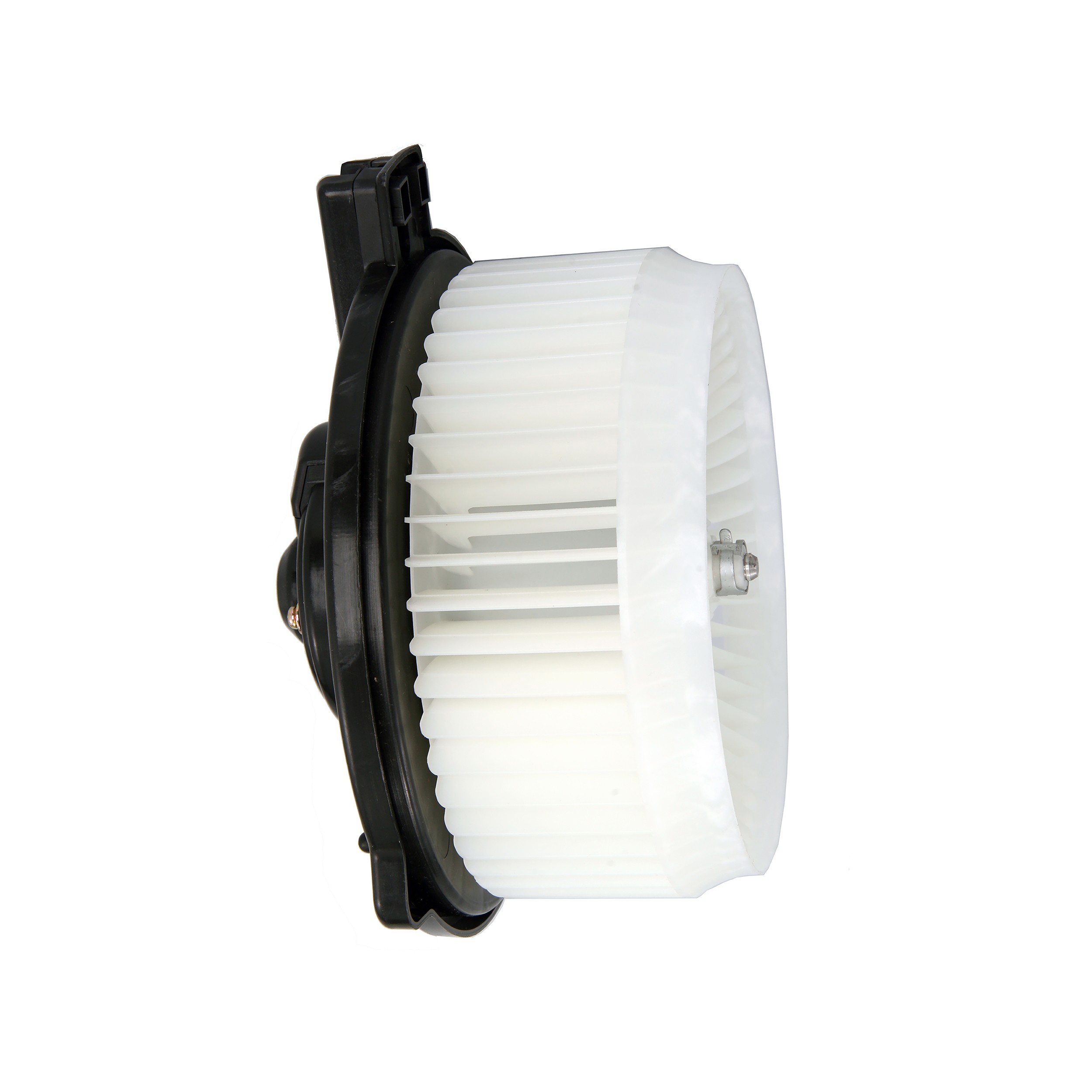 Blower Motor Assembly