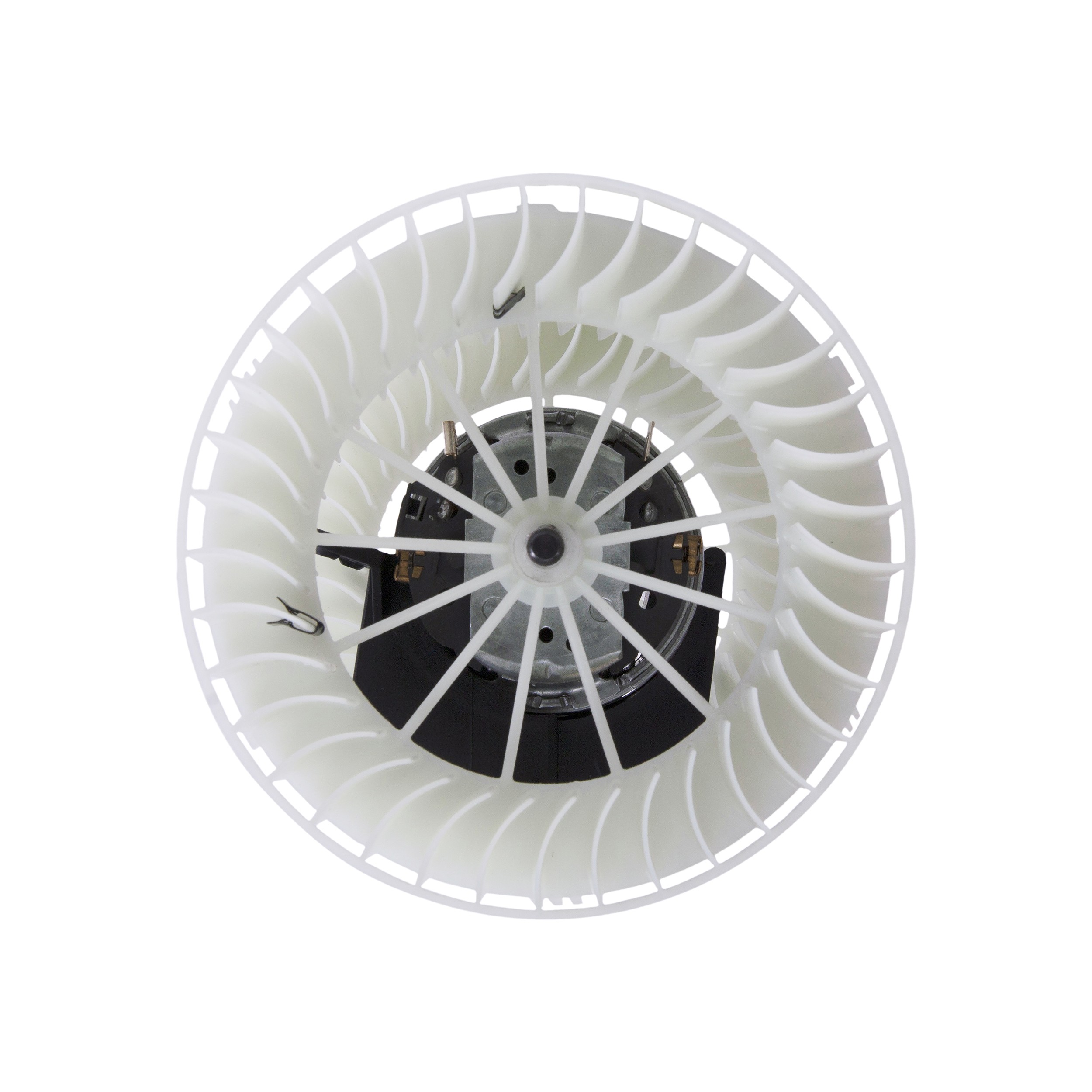 Blower Motor Assembly