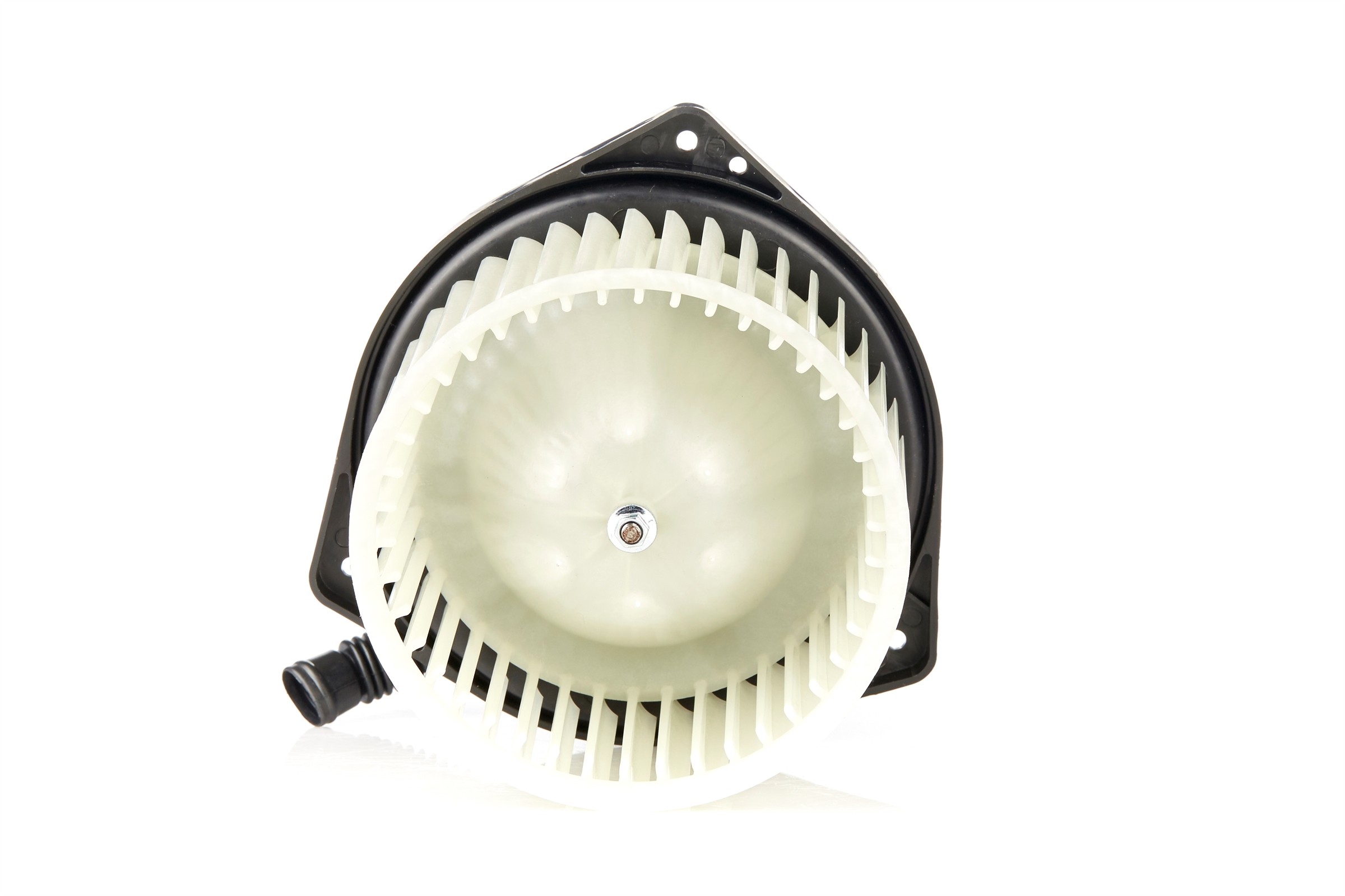 Blower Motor Assembly