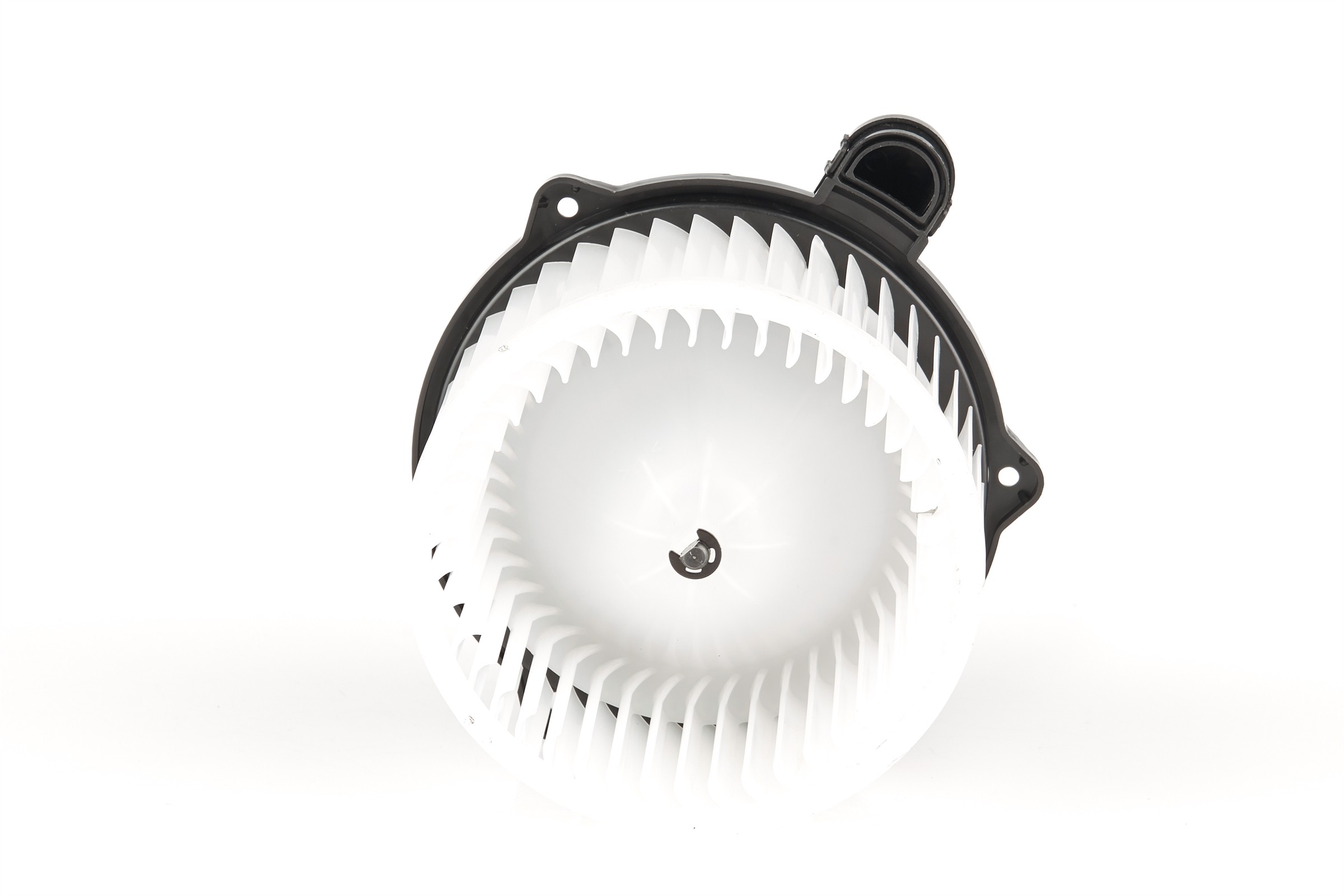 Blower Motor Assembly