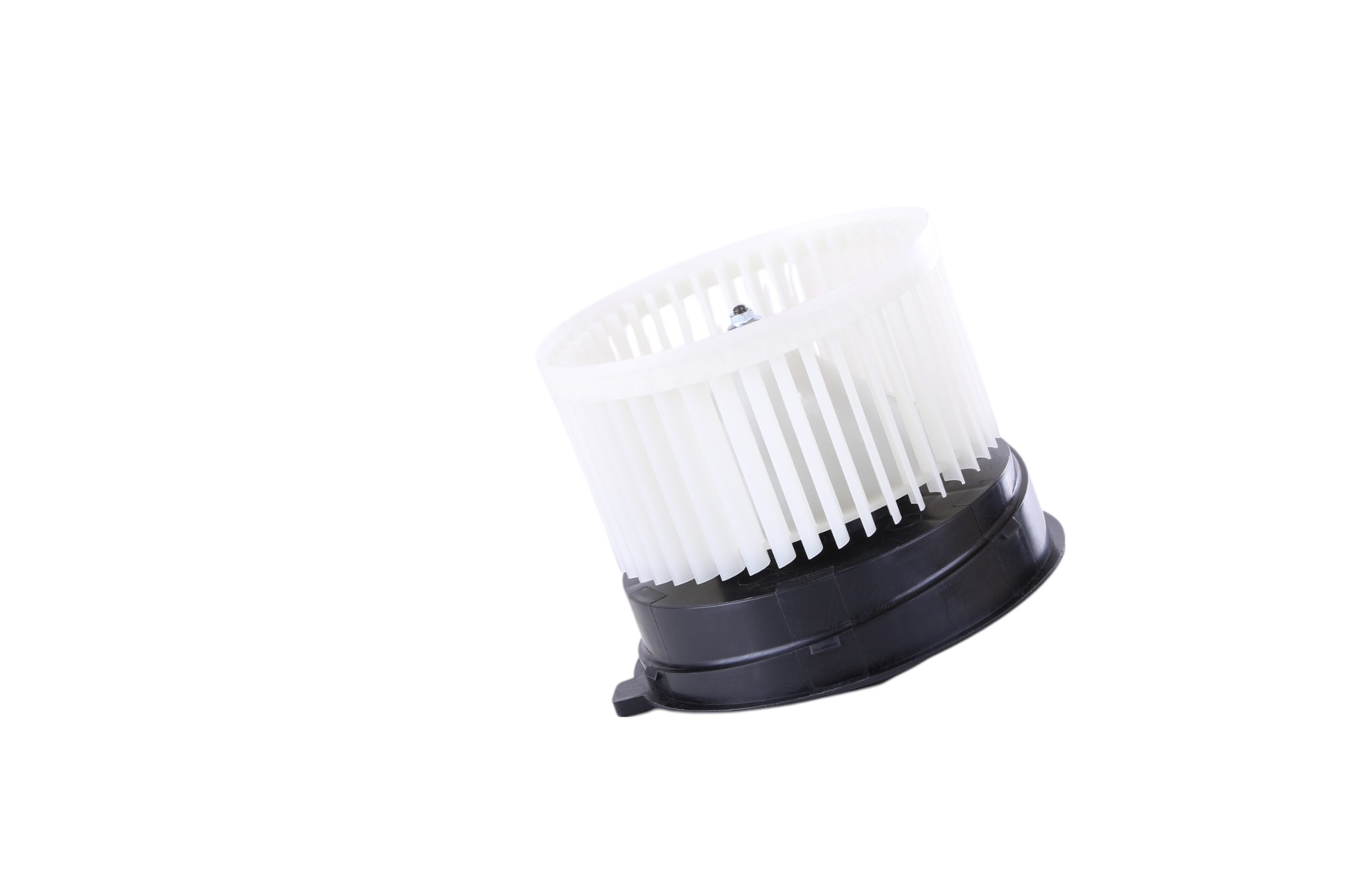 Blower Motor Assembly