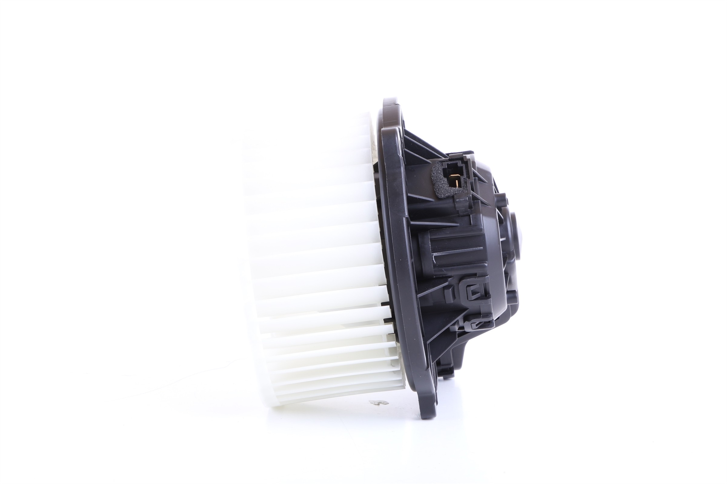 Blower Motor Assembly