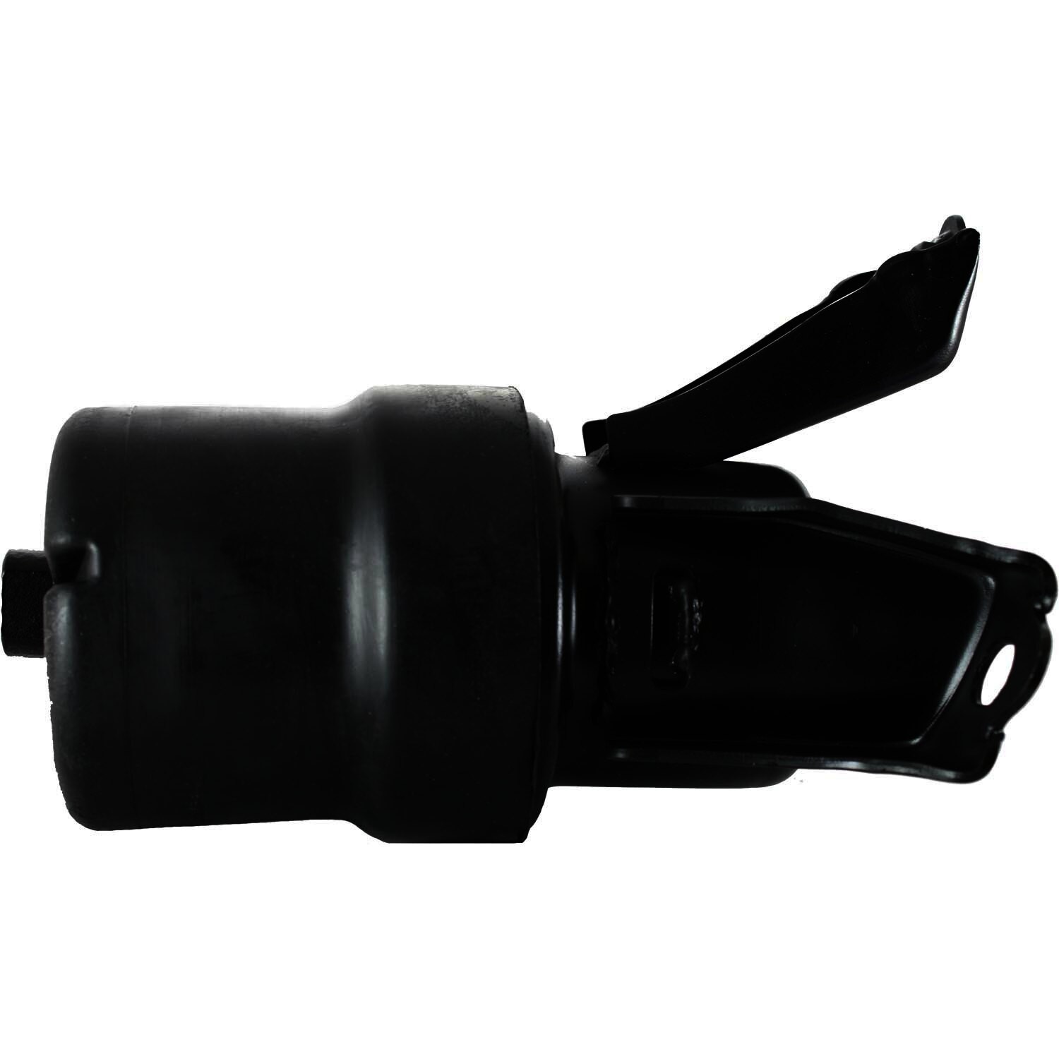 Pioneer Engine Mount