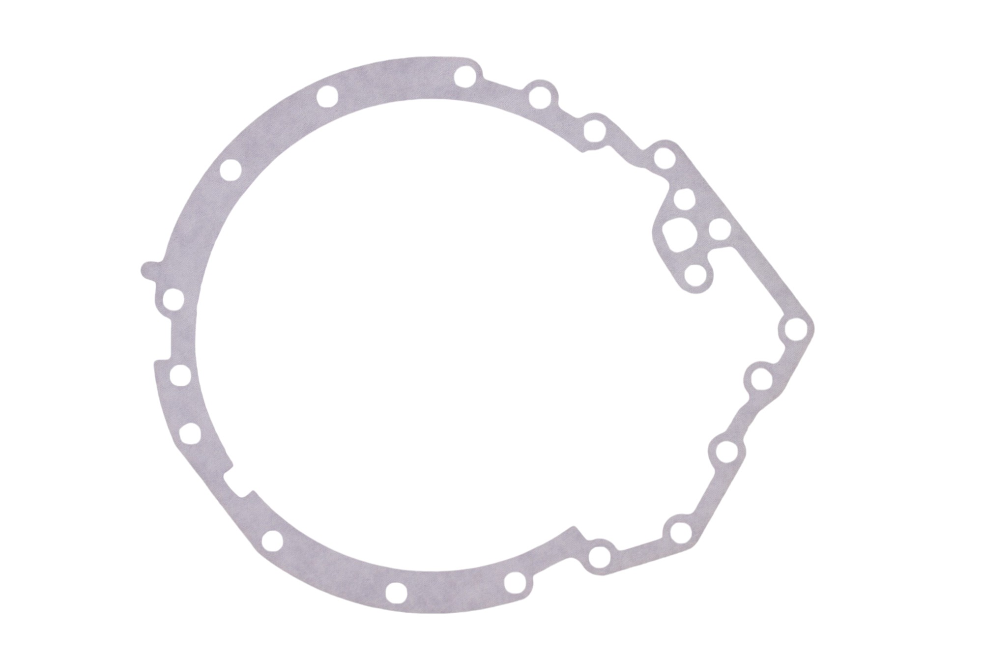 EXTENSION HOUSING GASKET
