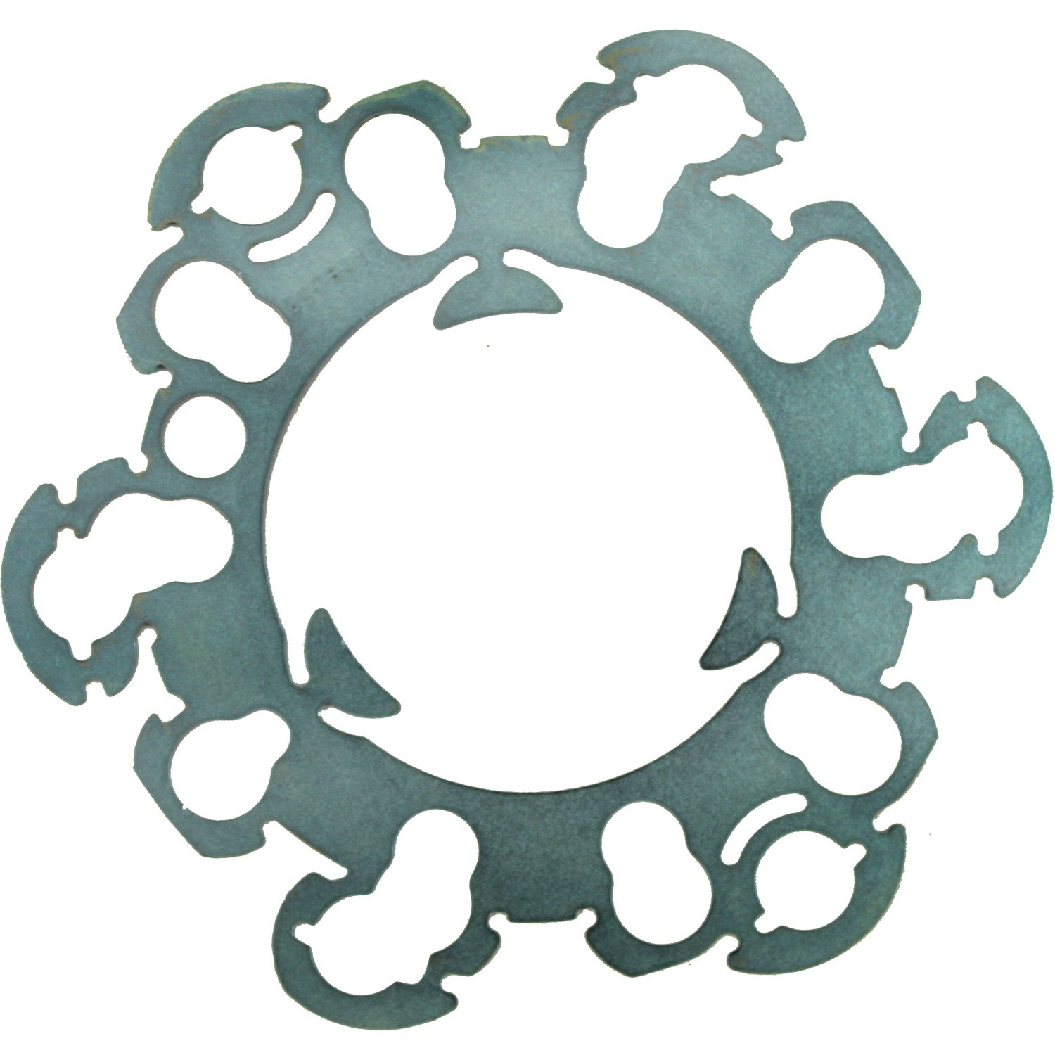 Flywheel Shim