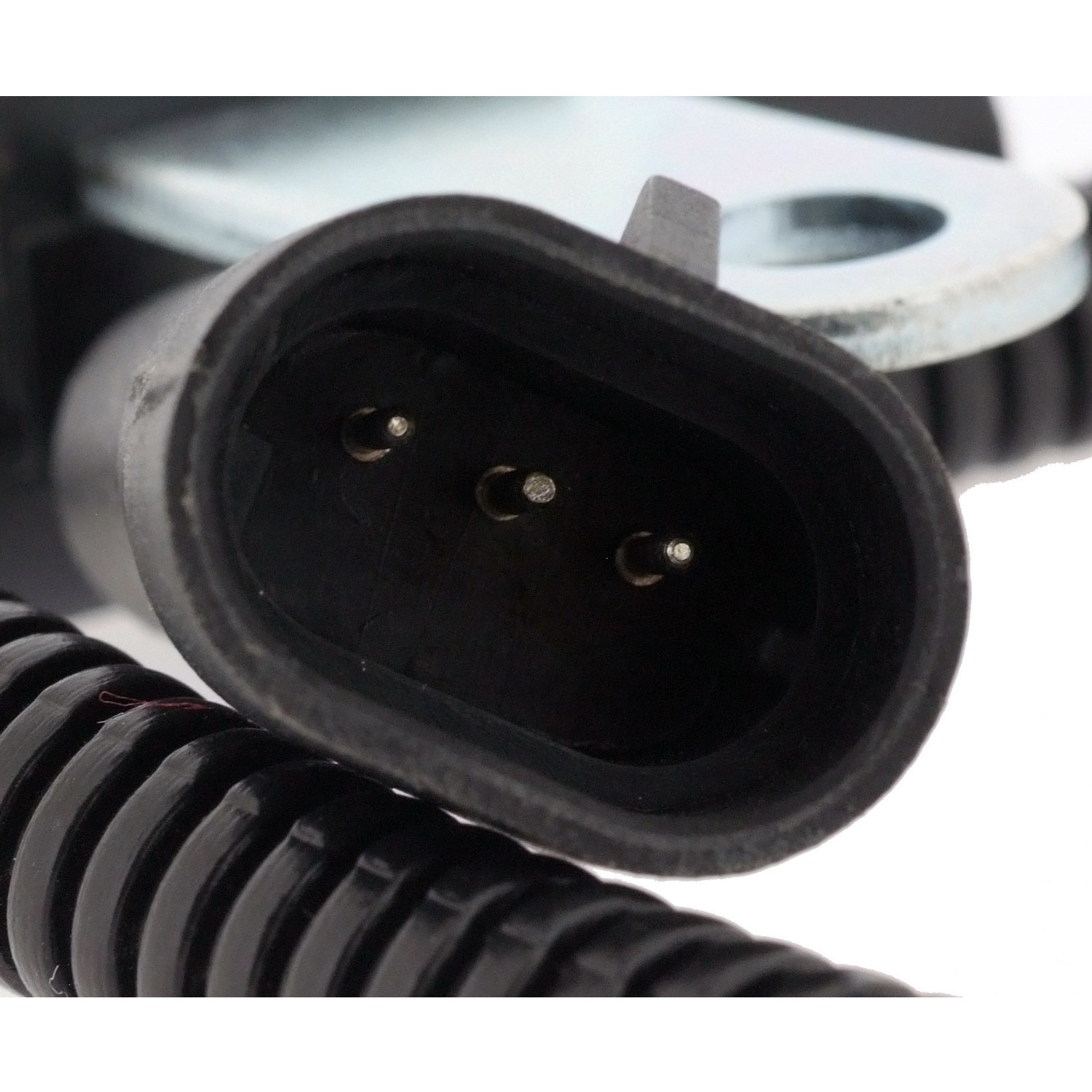 Sensor, Crankshaft - CHR