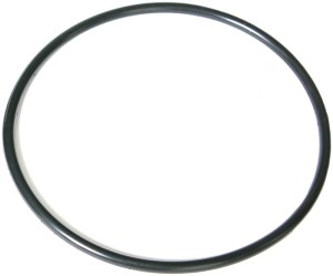FUEL PUMP O-RING