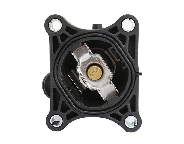 THERMOSTAT HOUSE