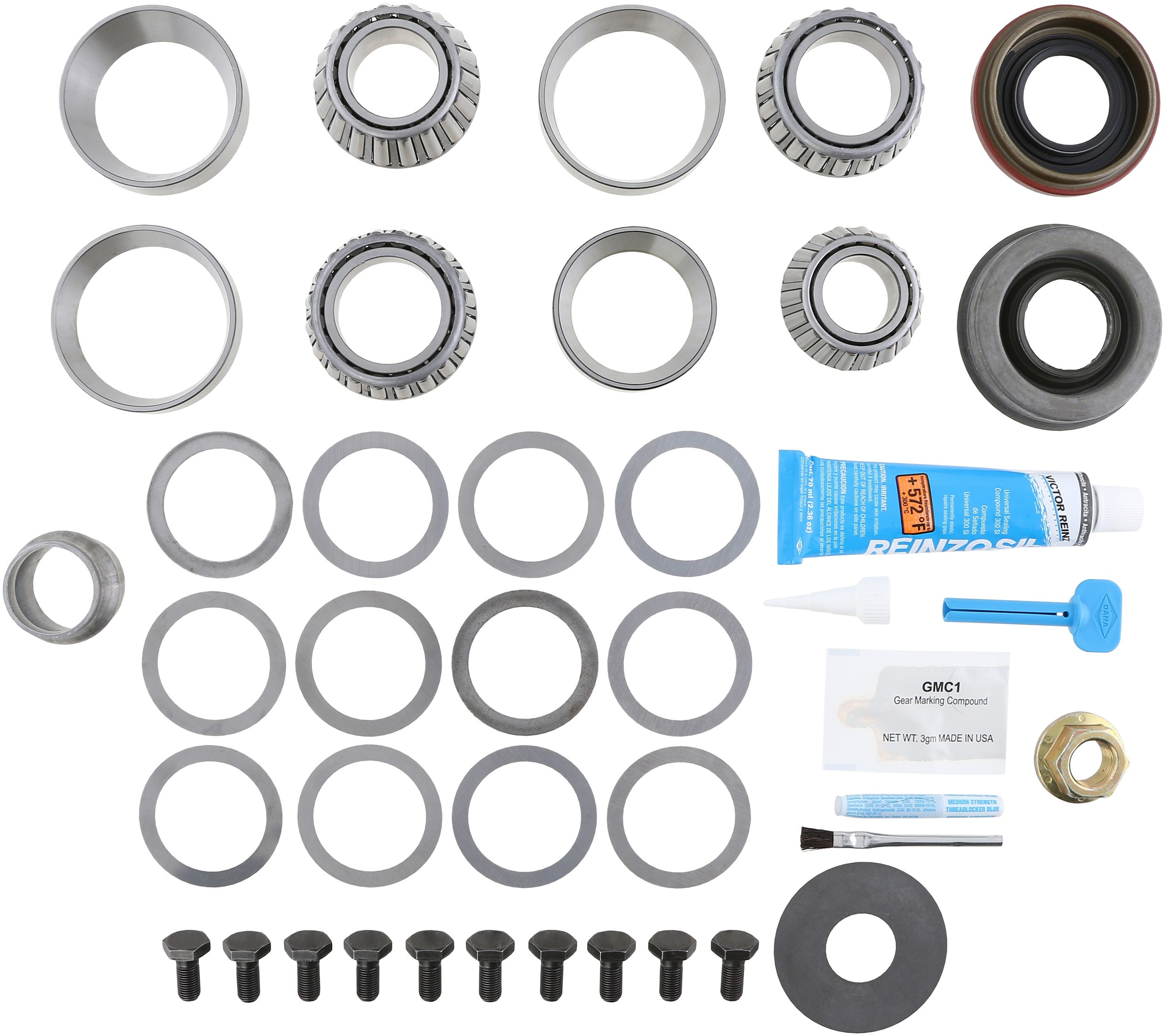 Master Axle Differential Bearing and Seal Kit