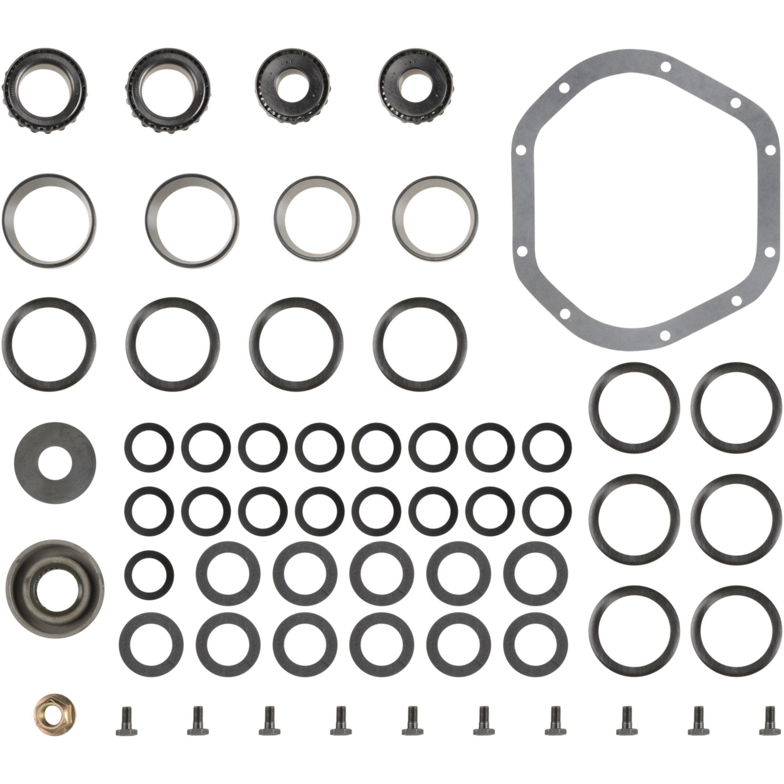 Master Axle Differential Bearing and Seal Kit