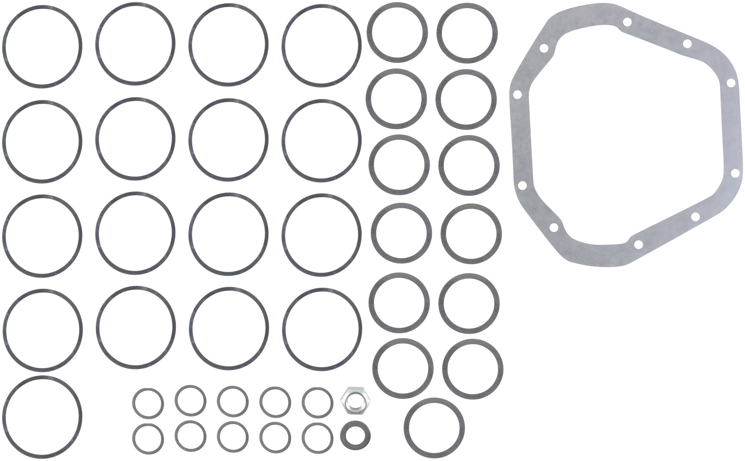 Differential and Pinion Shim Kit
