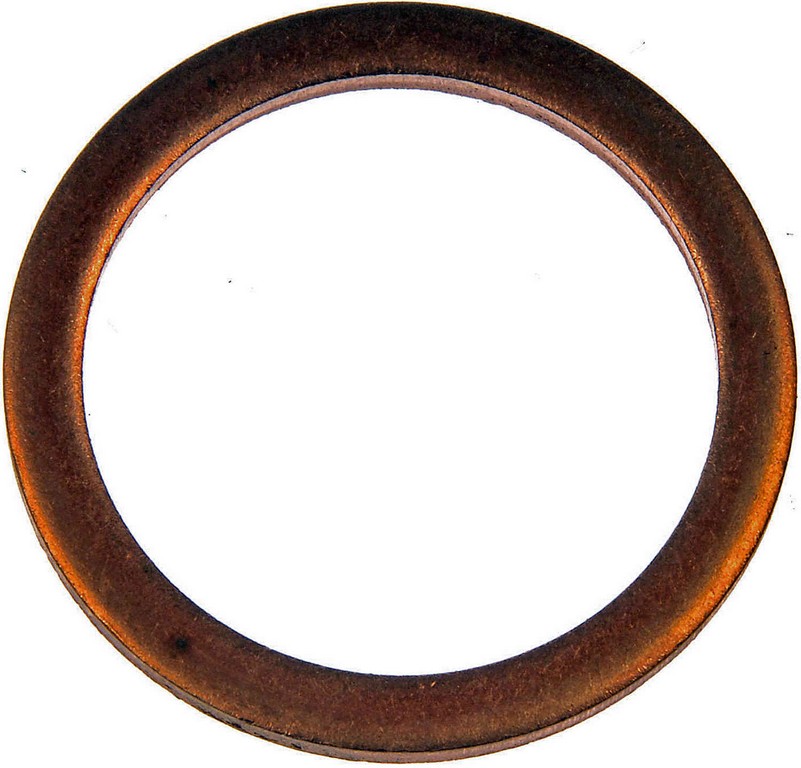 Copper Drain Plug Gasket, Fits 1 In., M25