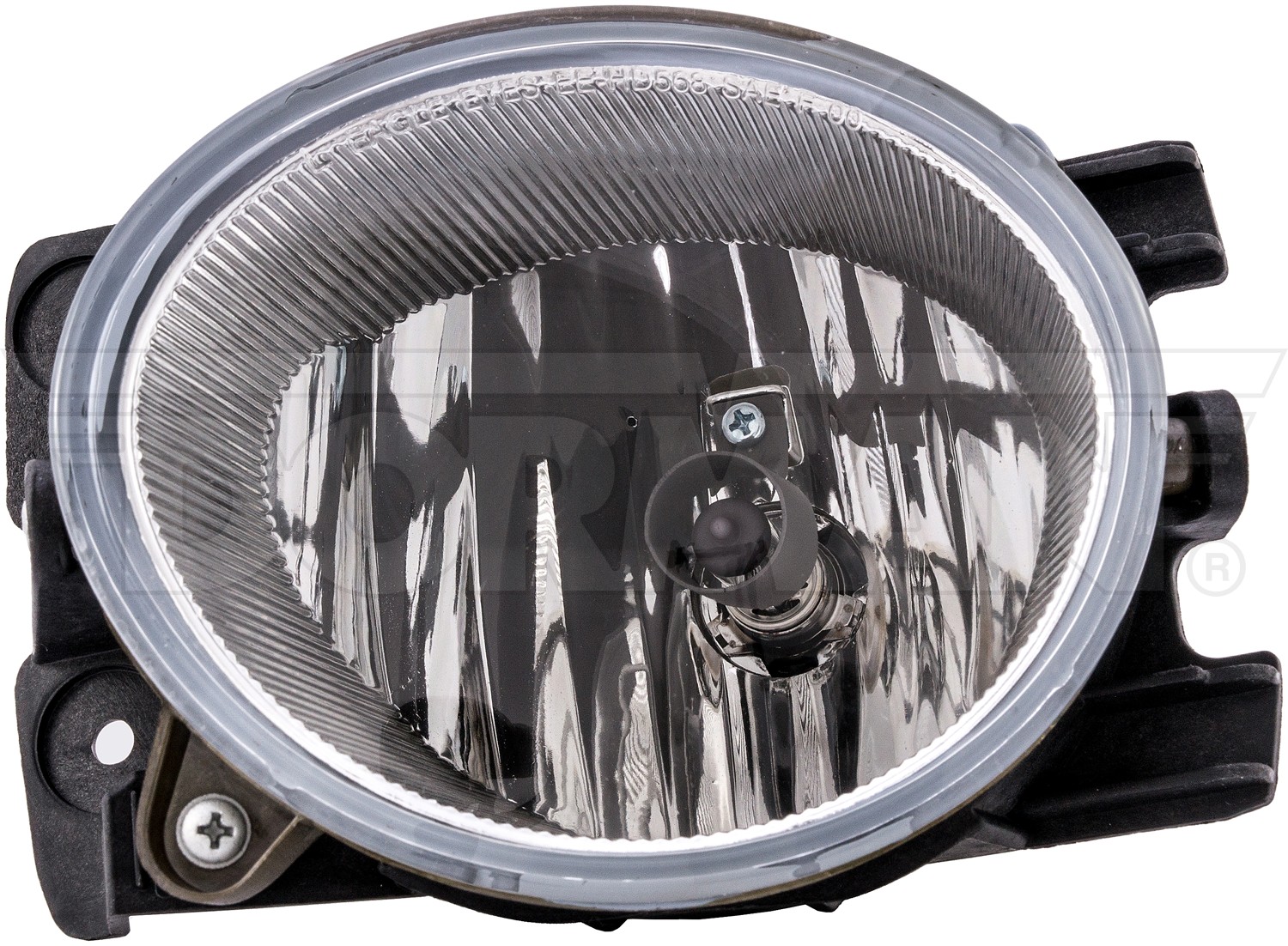 Fog Light Assembly