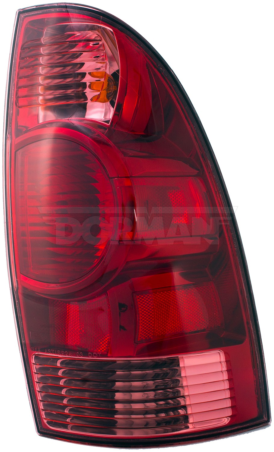 Tail Light Assembly