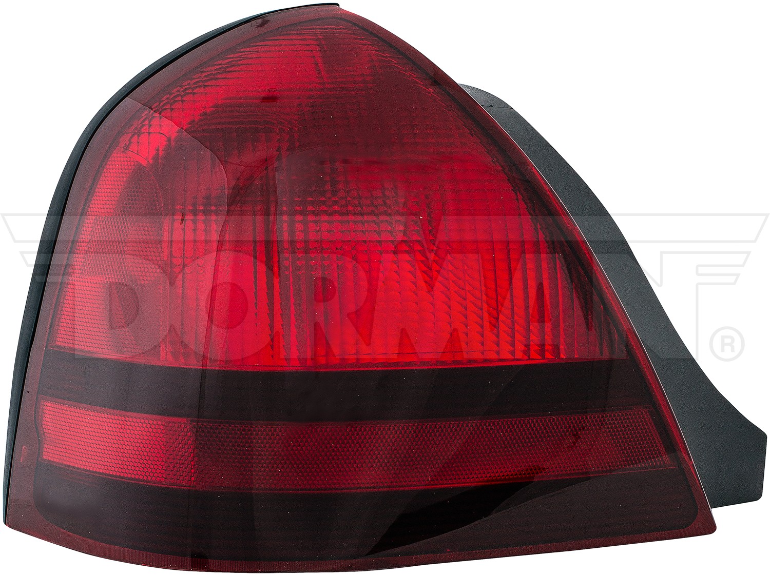 Tail Light Assembly