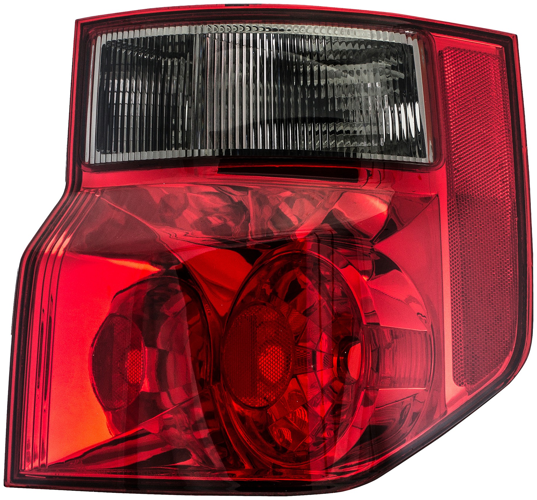 Tail Light Assembly