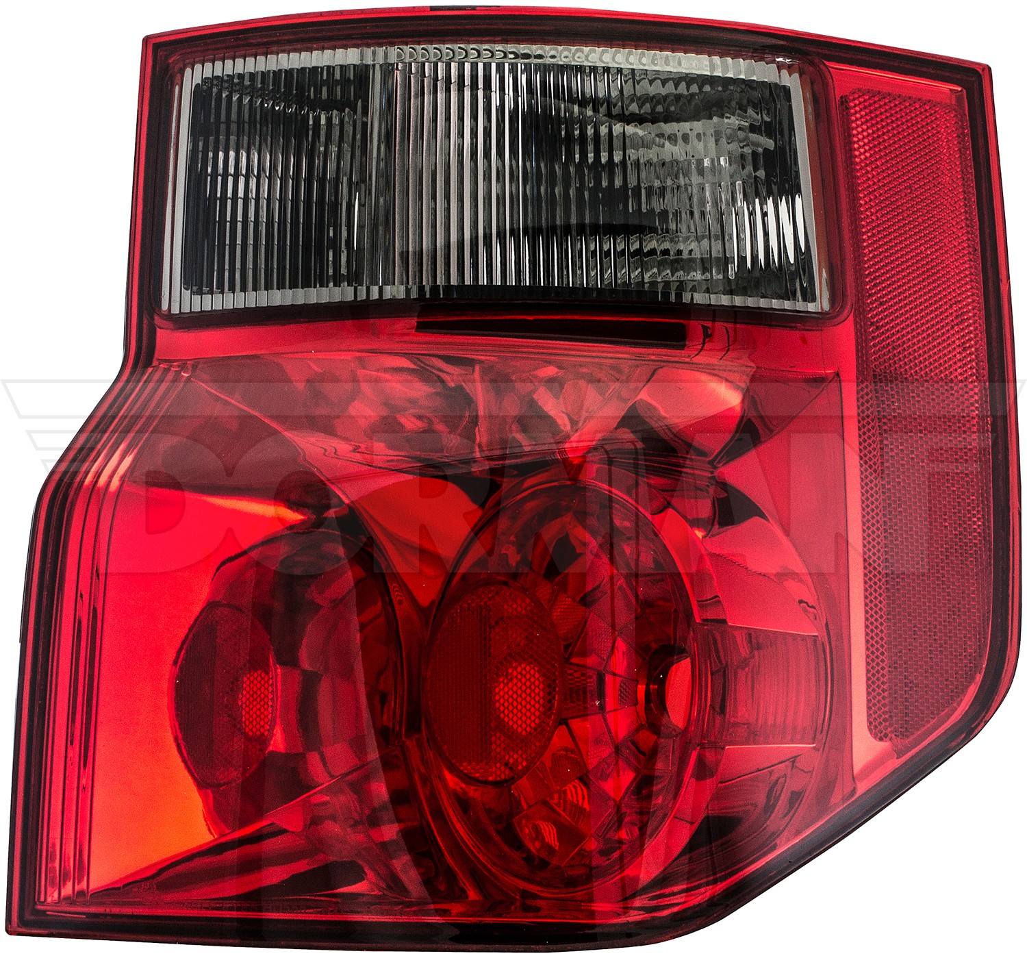 Tail Light Assembly