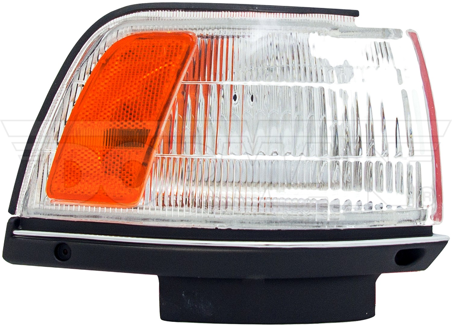 Turn Signal / Parking Light Assembly