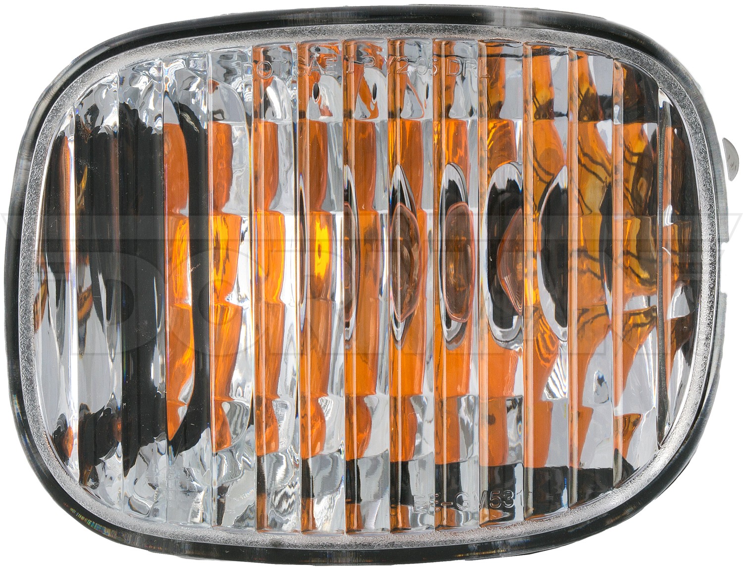 Turn Signal / Parking Light Assembly