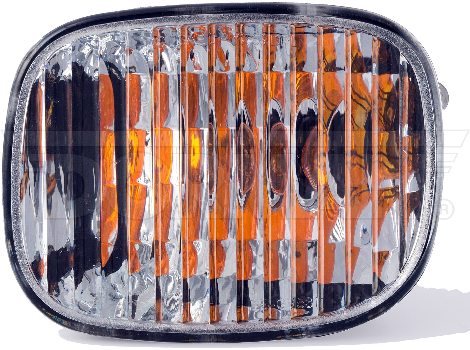 Turn Signal / Parking Light Assembly