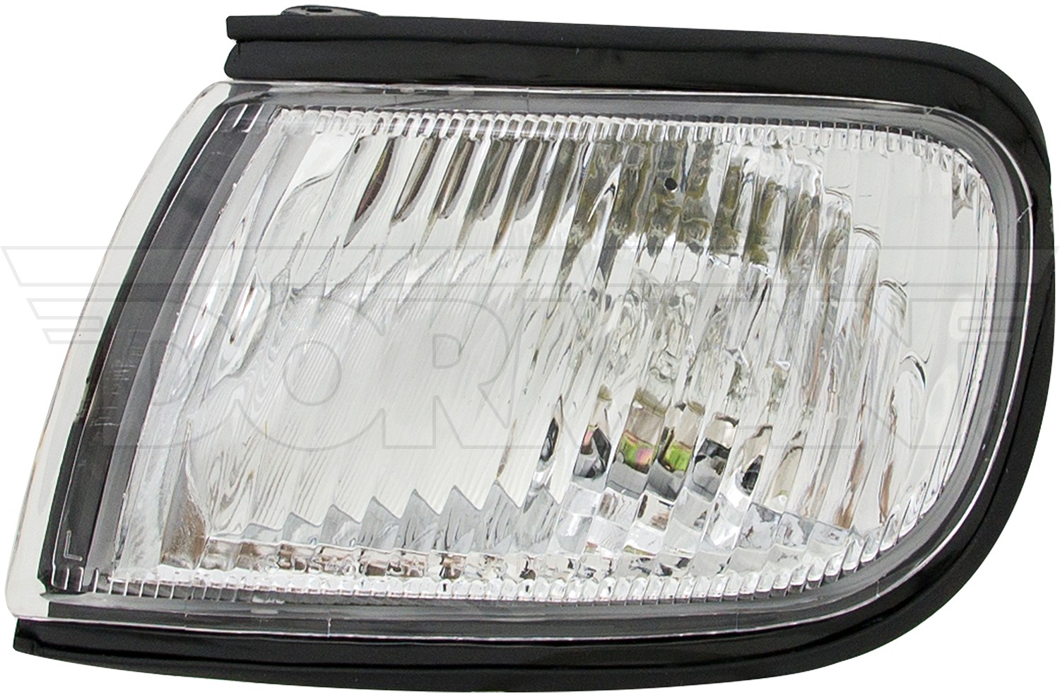 Turn Signal / Parking Light Assembly