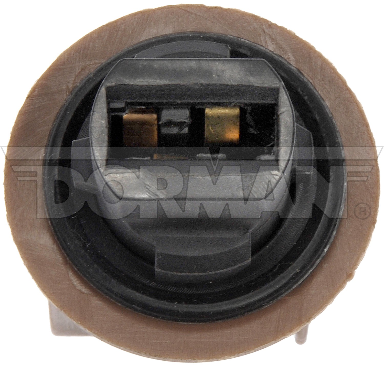 2-Terminal Lamp Socket