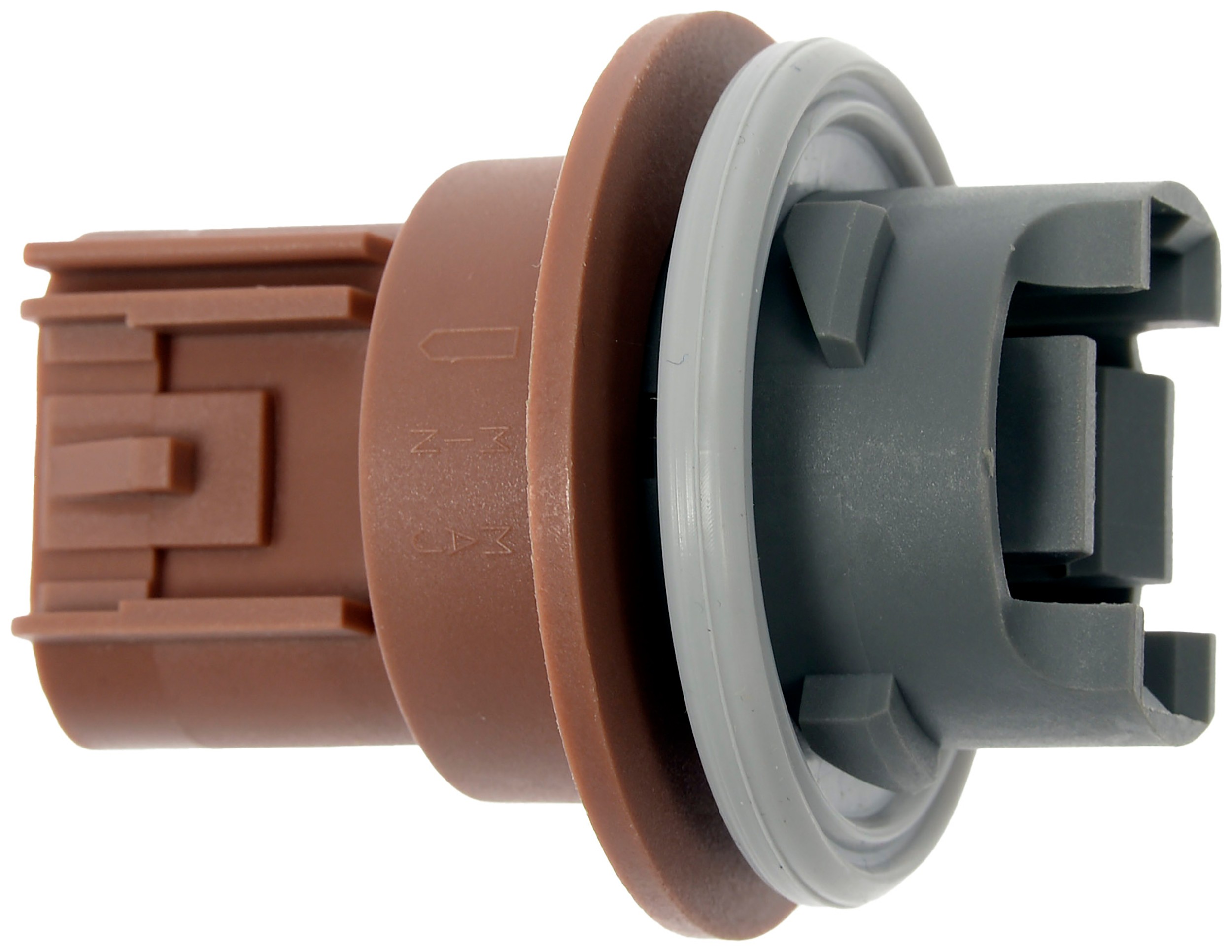 Park And Turn Signal Socket
