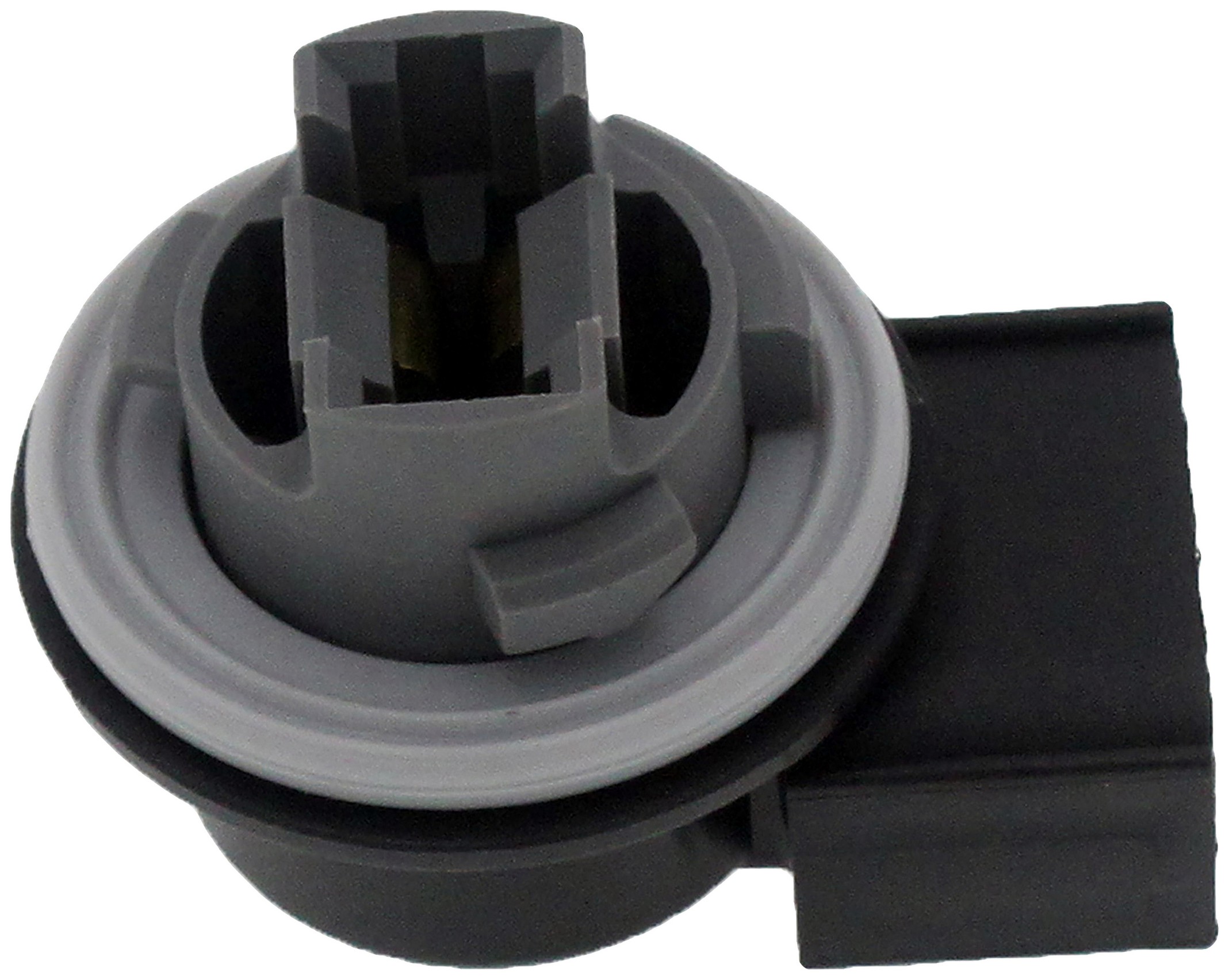 Tail Lamp Bulb Socket