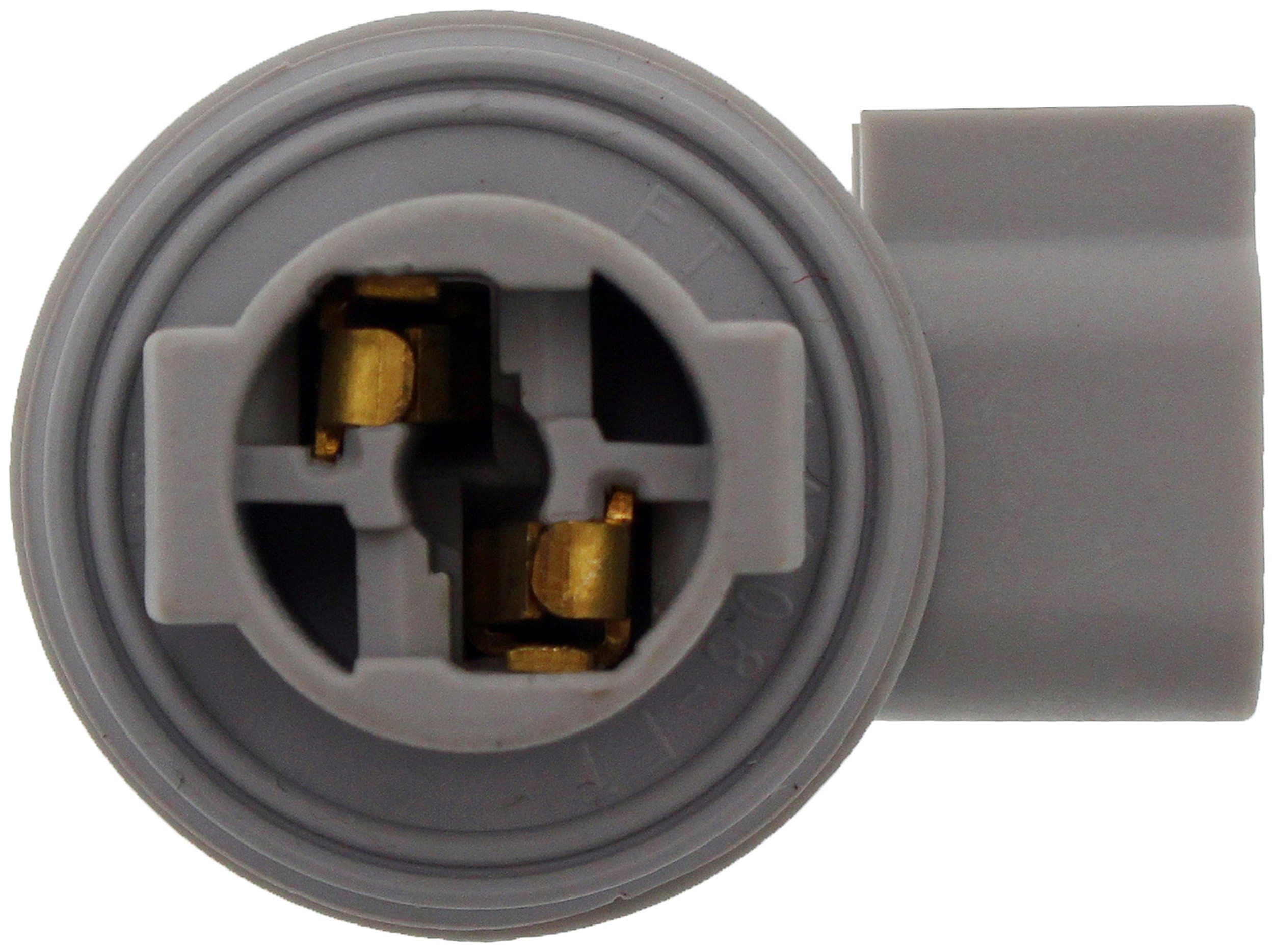 Tail Lamp Socket