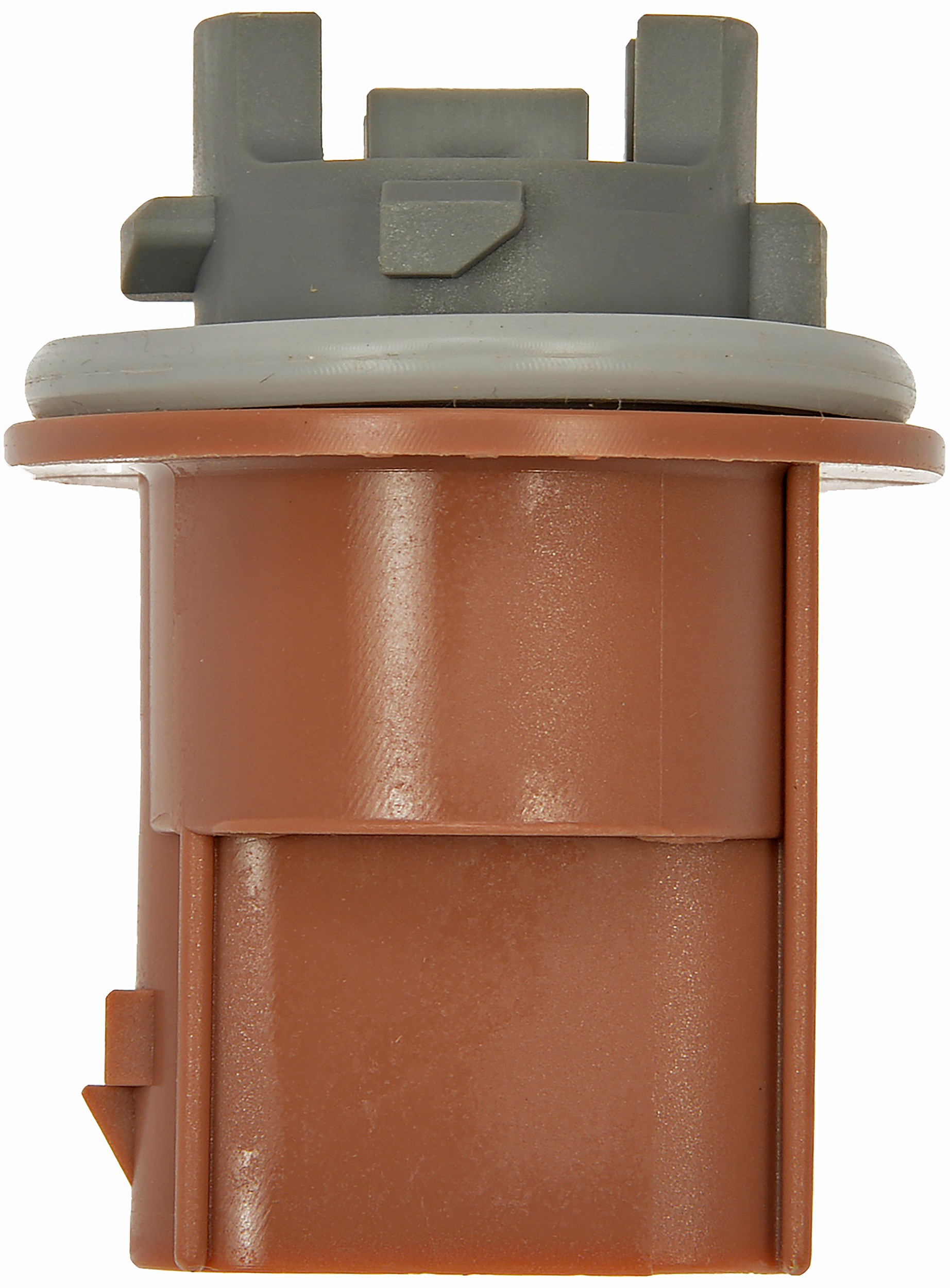 Turn Signal Socket