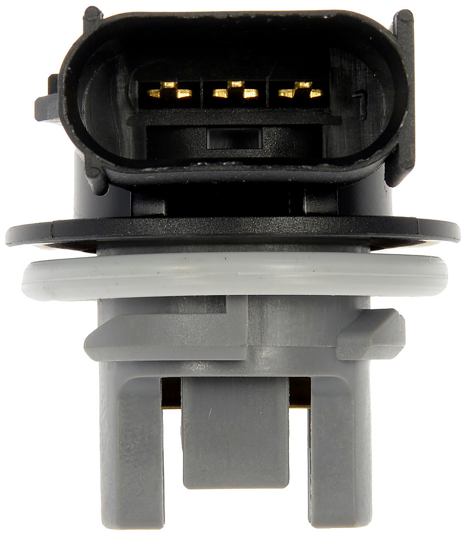 Turn Signal Lamp Socket