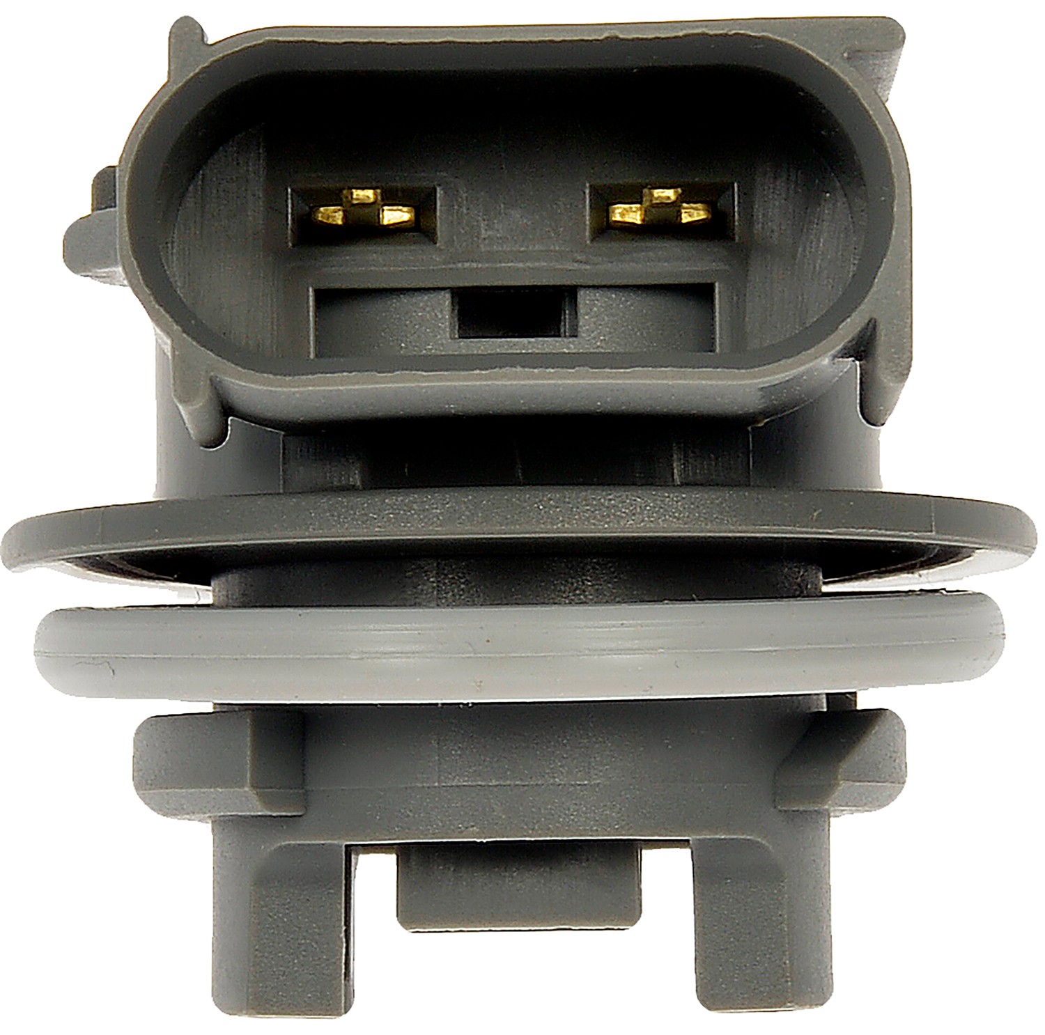 Back Up Lamp Socket