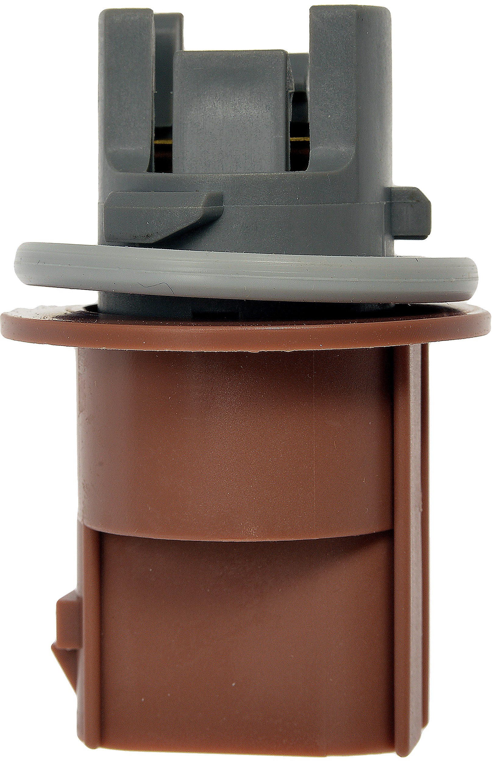 Headlamp Socket