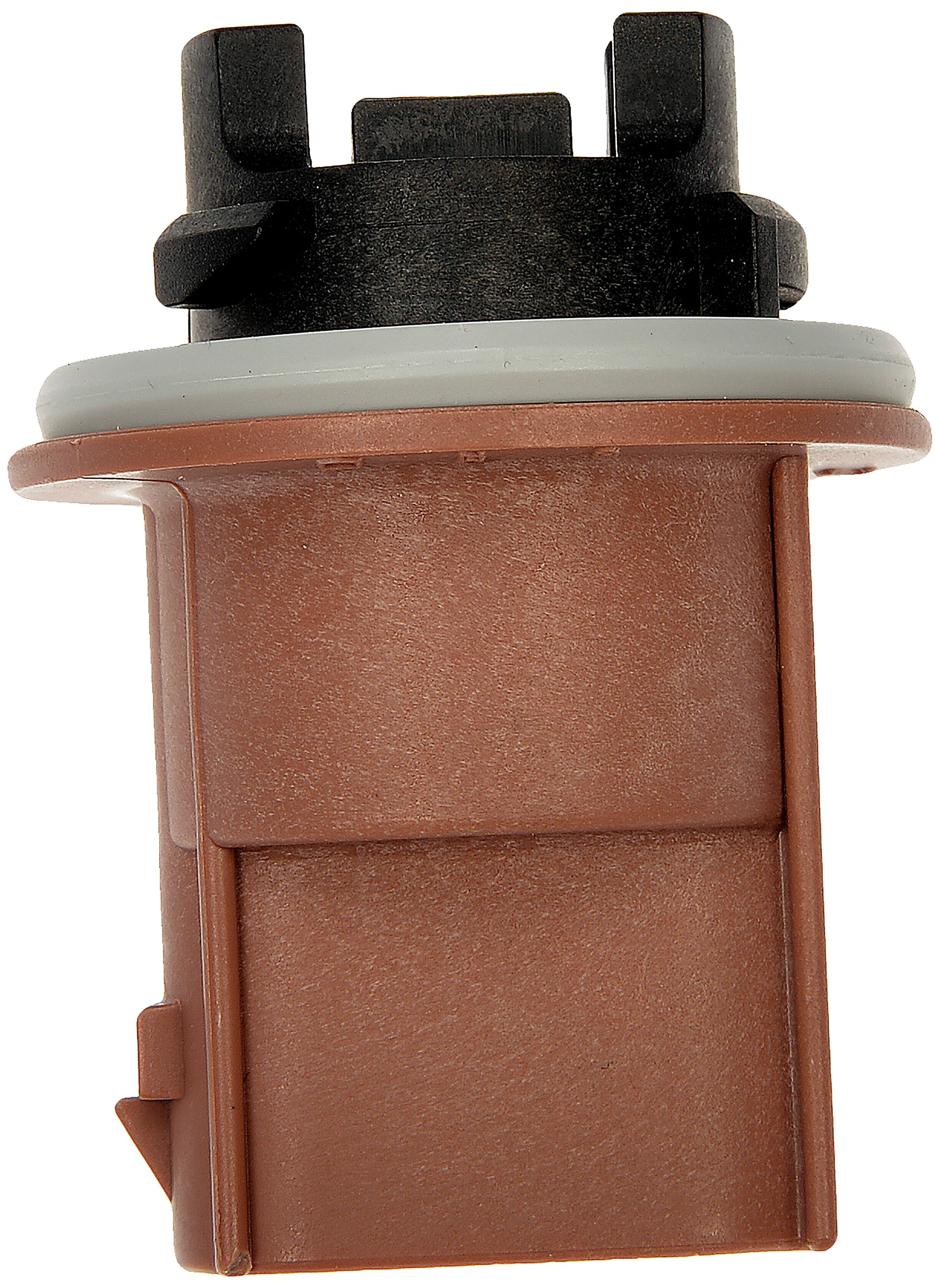 Turn Signal Socket