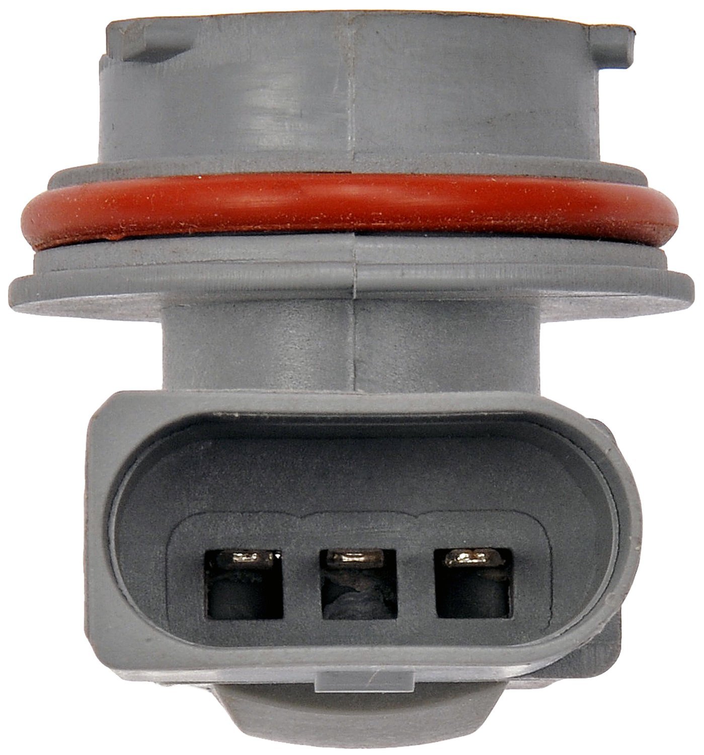 Tail Lamp Socket