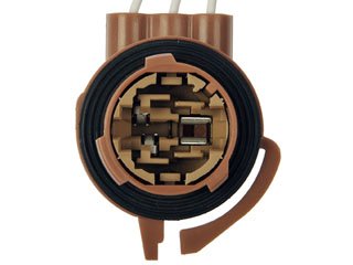 3 Wire Lighting Socket