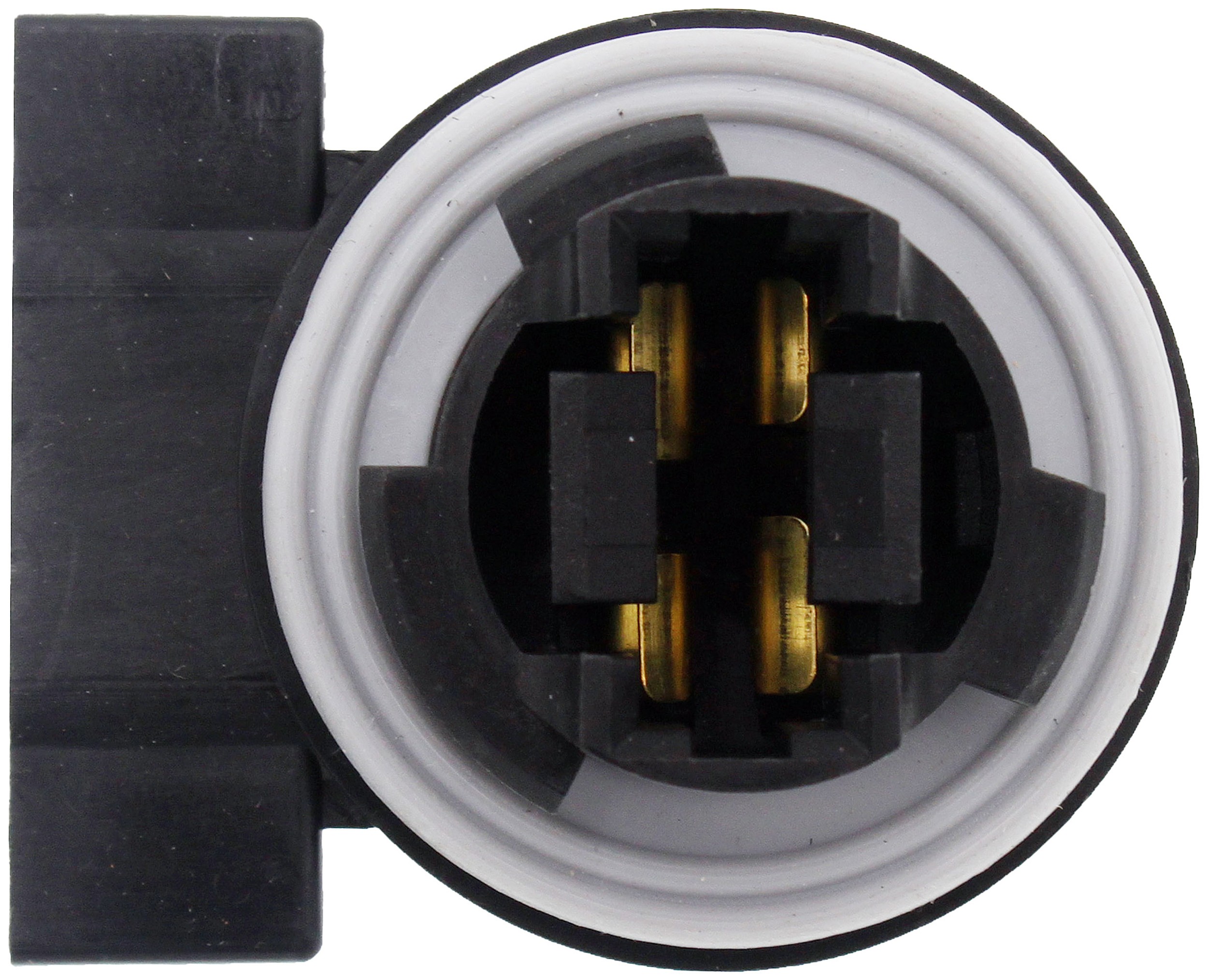 Park And Turn signal Lamp Socket - Left/Right