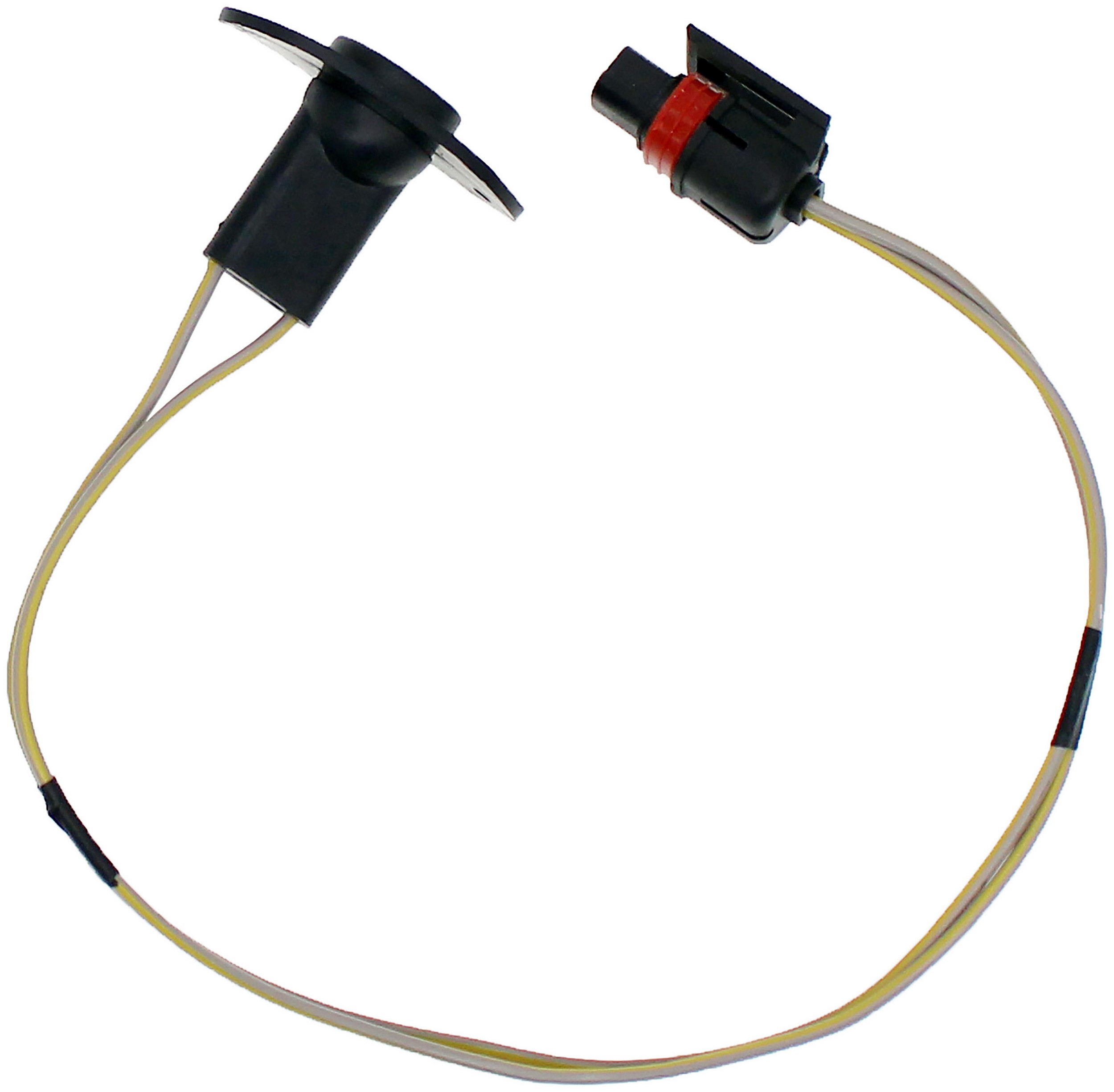 License Plate Lamp Socket And Harness Assembly