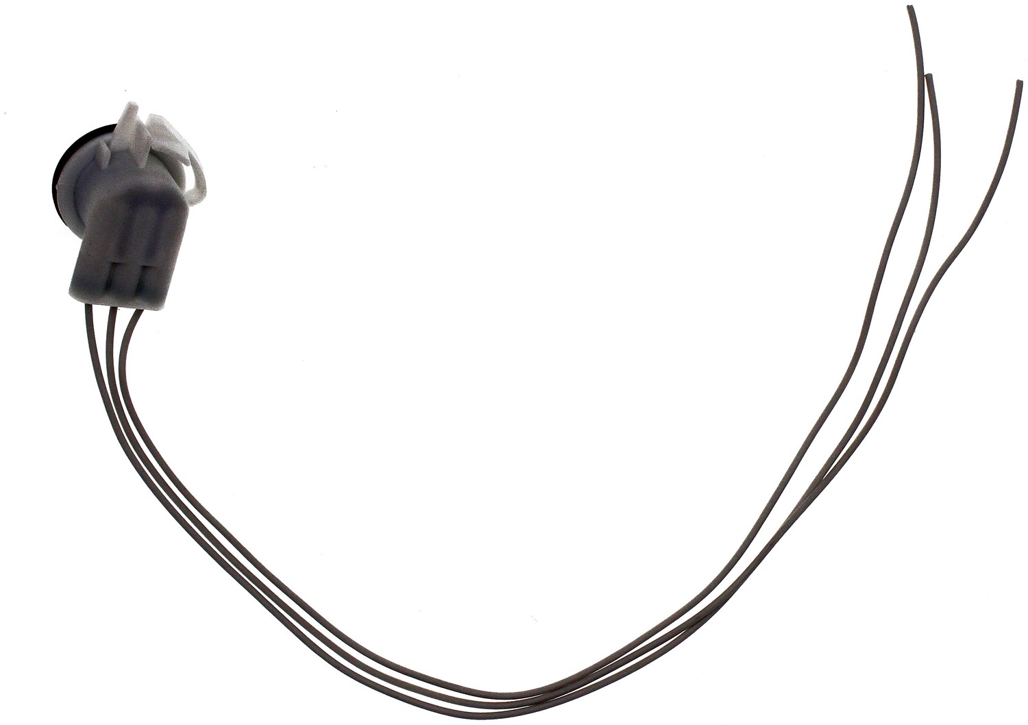 Front Park and Turn Signal Socket
