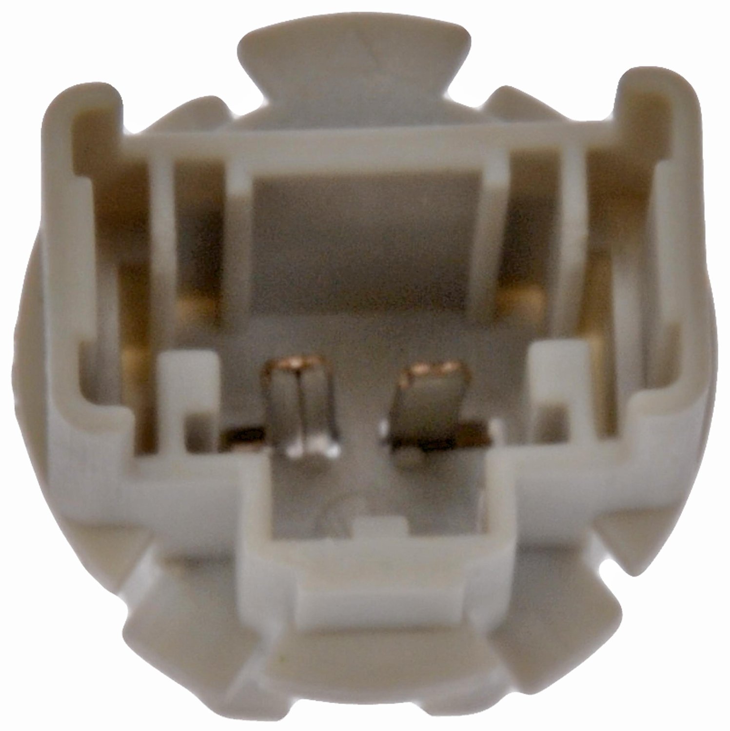Tail Lamp Socket