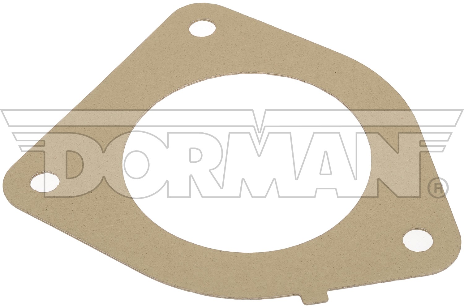 Diesel Particulate Filter Gasket